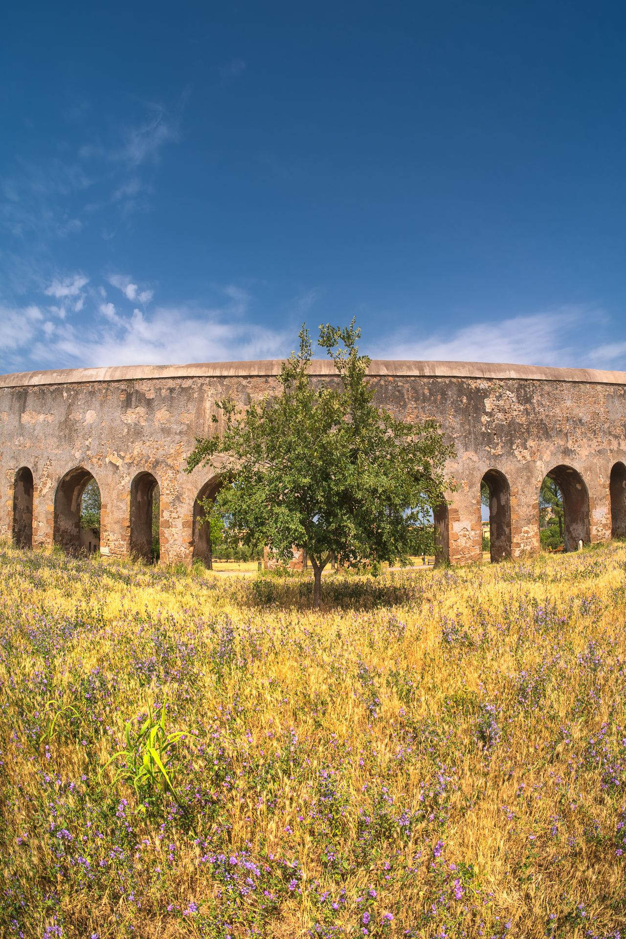 Park of Torre Fiscale Rome