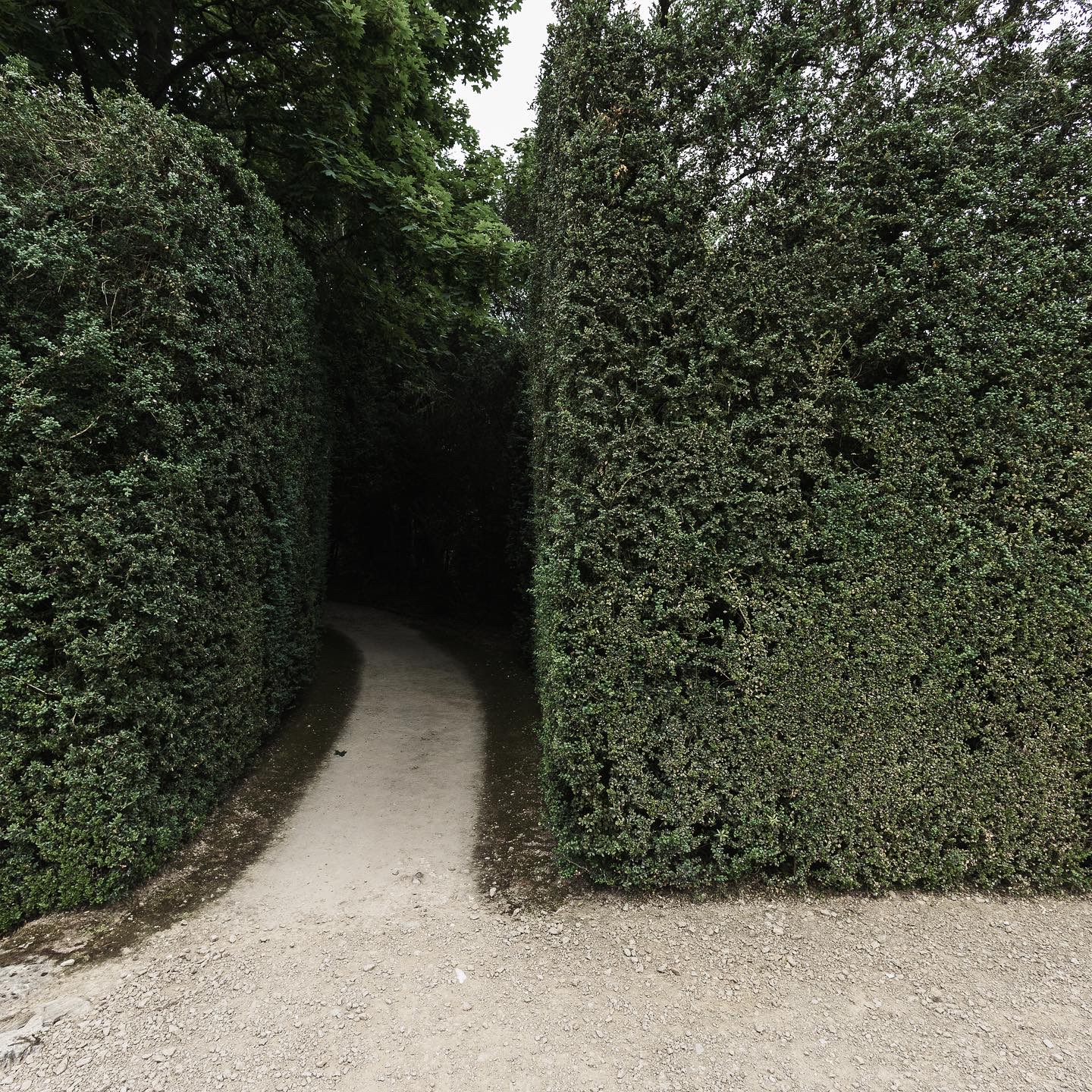 Garden of Villa Barbarigo in Valsanzibio