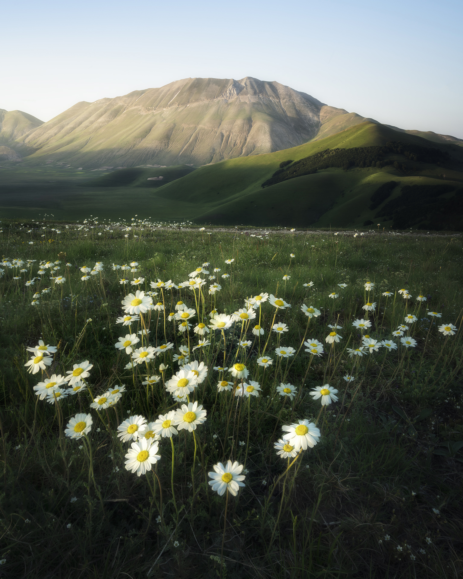 Castelluccio (Italy)