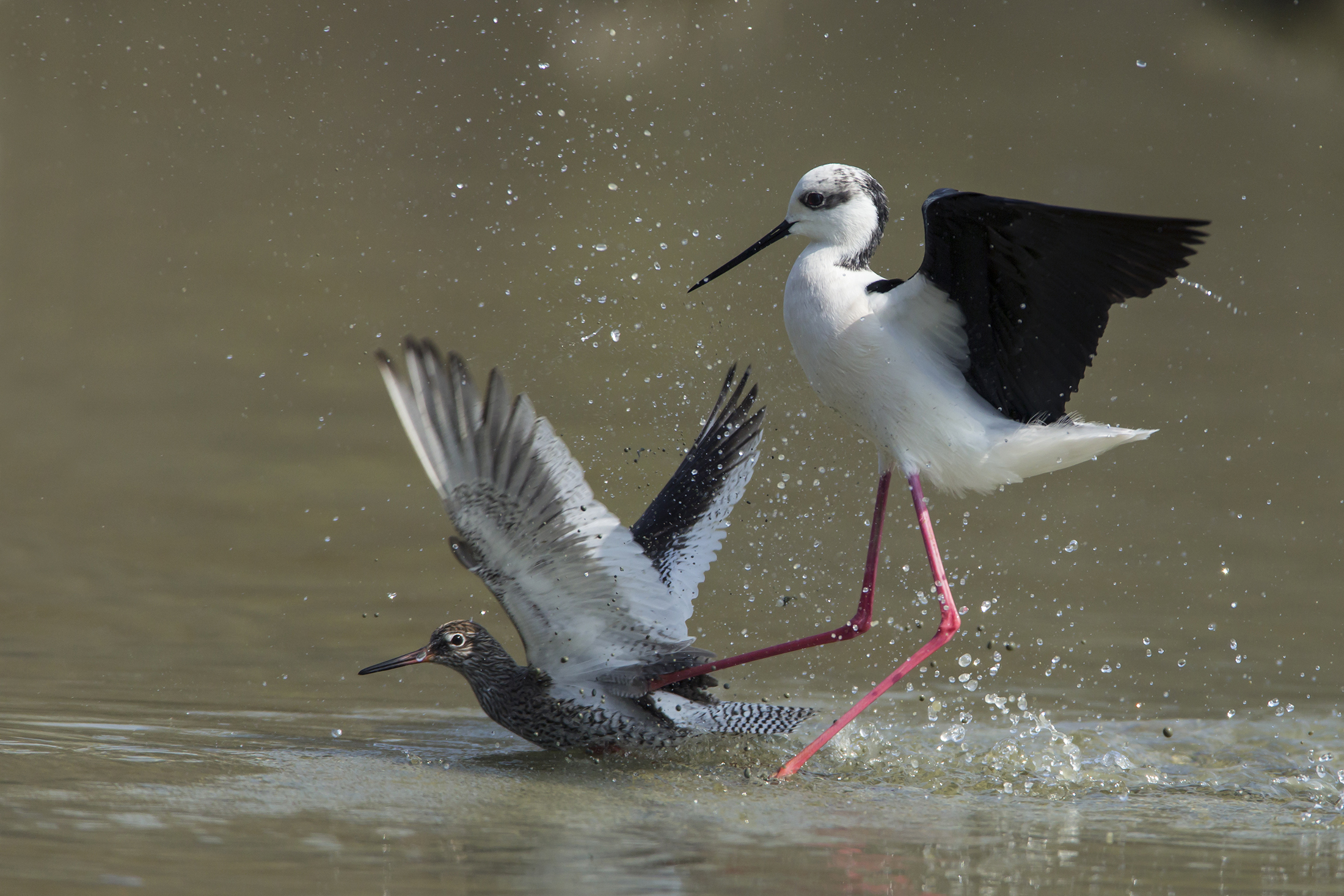 difesa del territorio