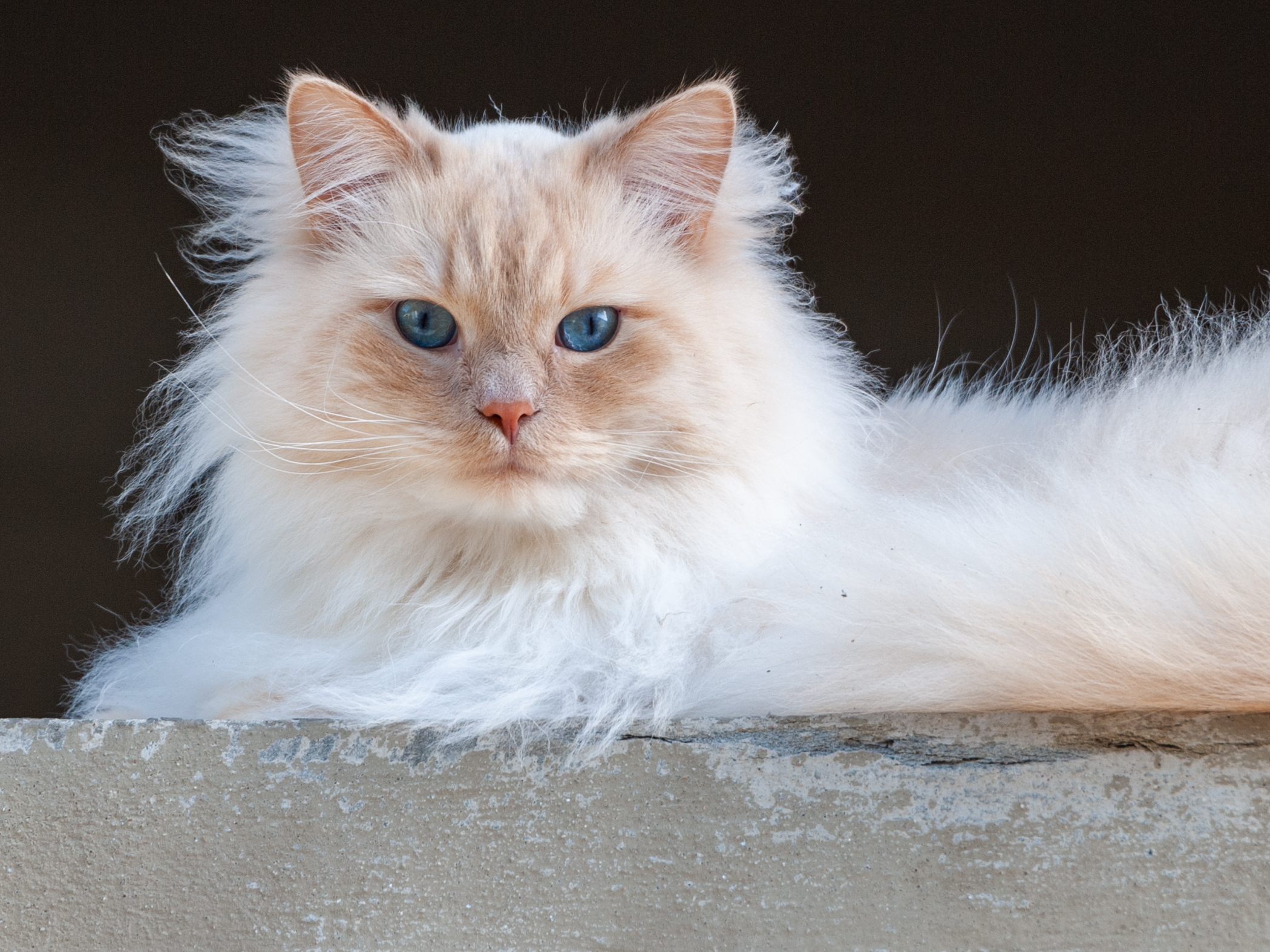 Hey, occhi blu...!!!