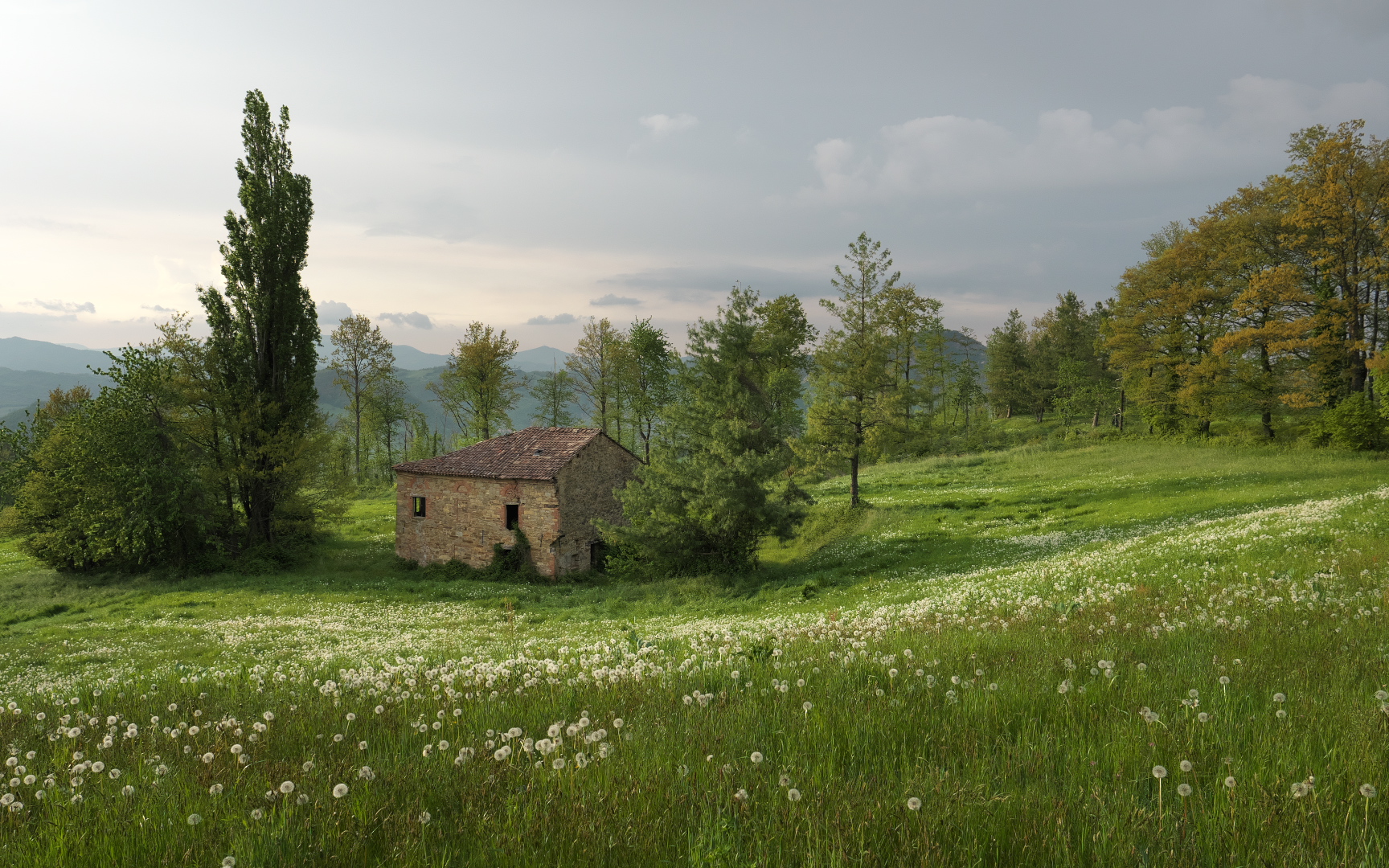 Casetta abbandonata (2)