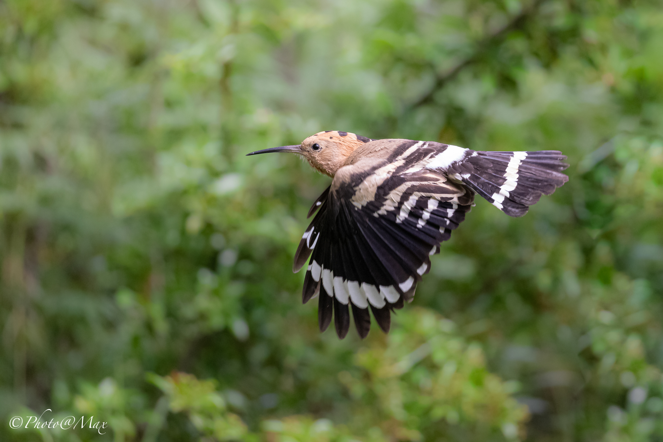 in flight