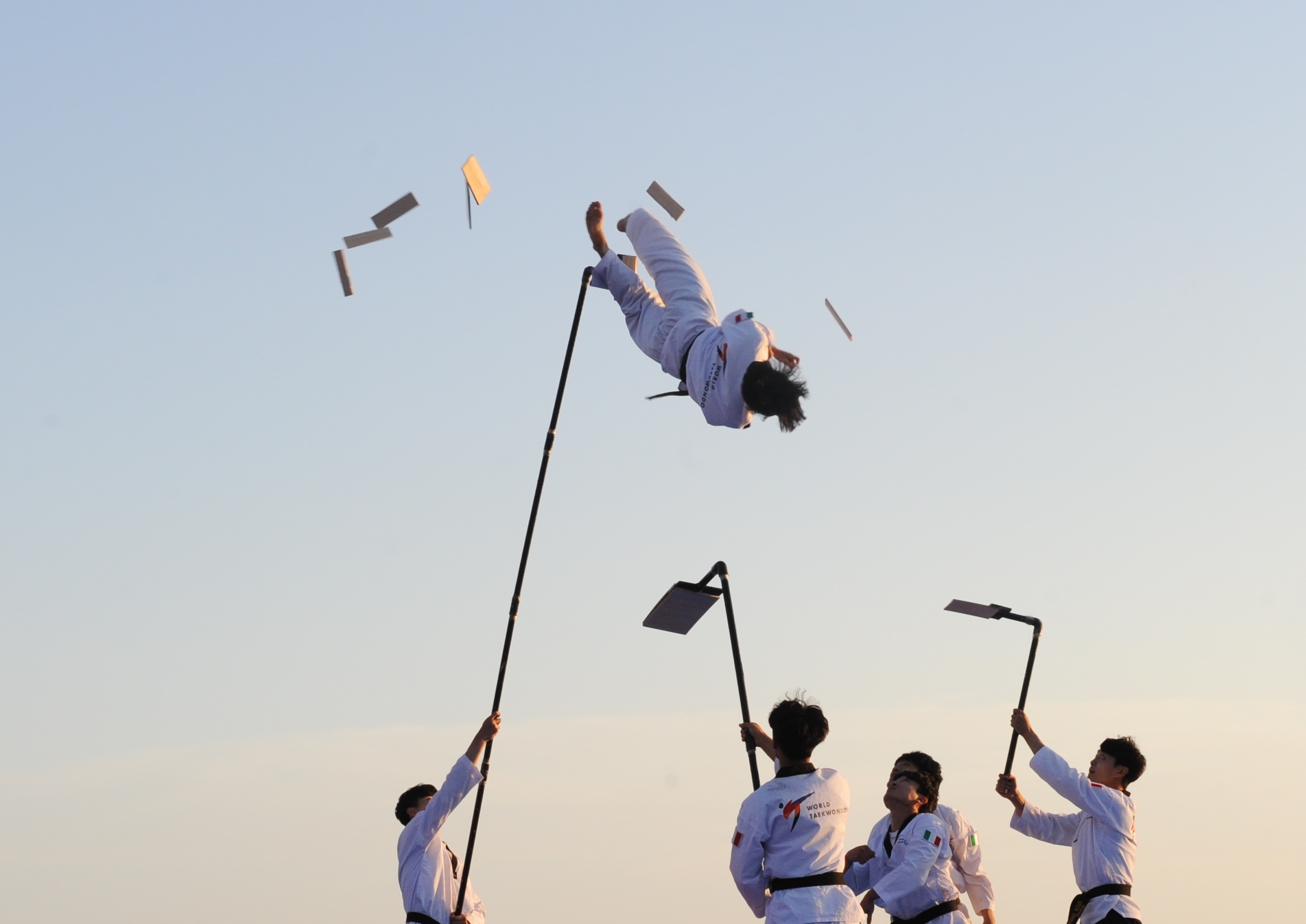 World Taekwondo Demo Team