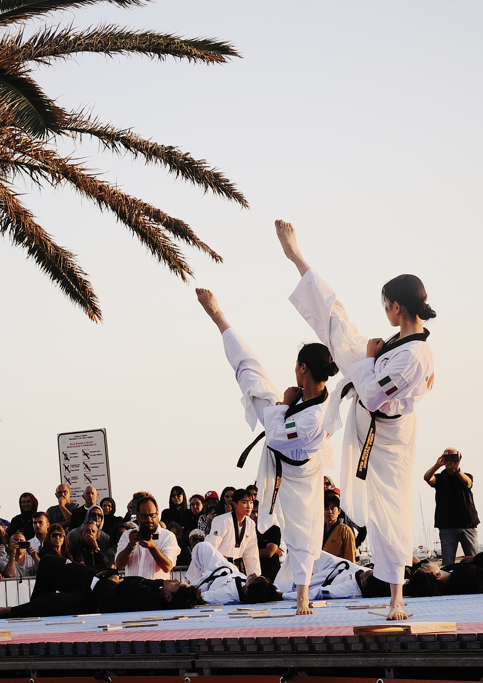 World Taekwondo Demo Team