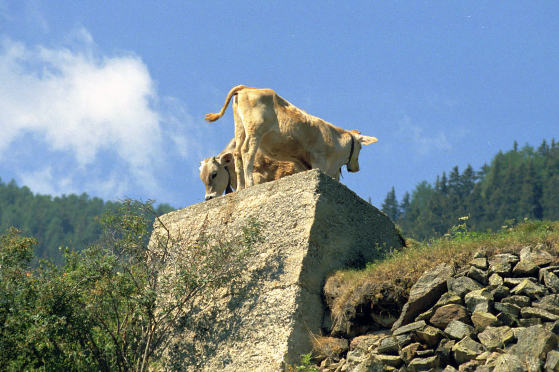 front and back monument