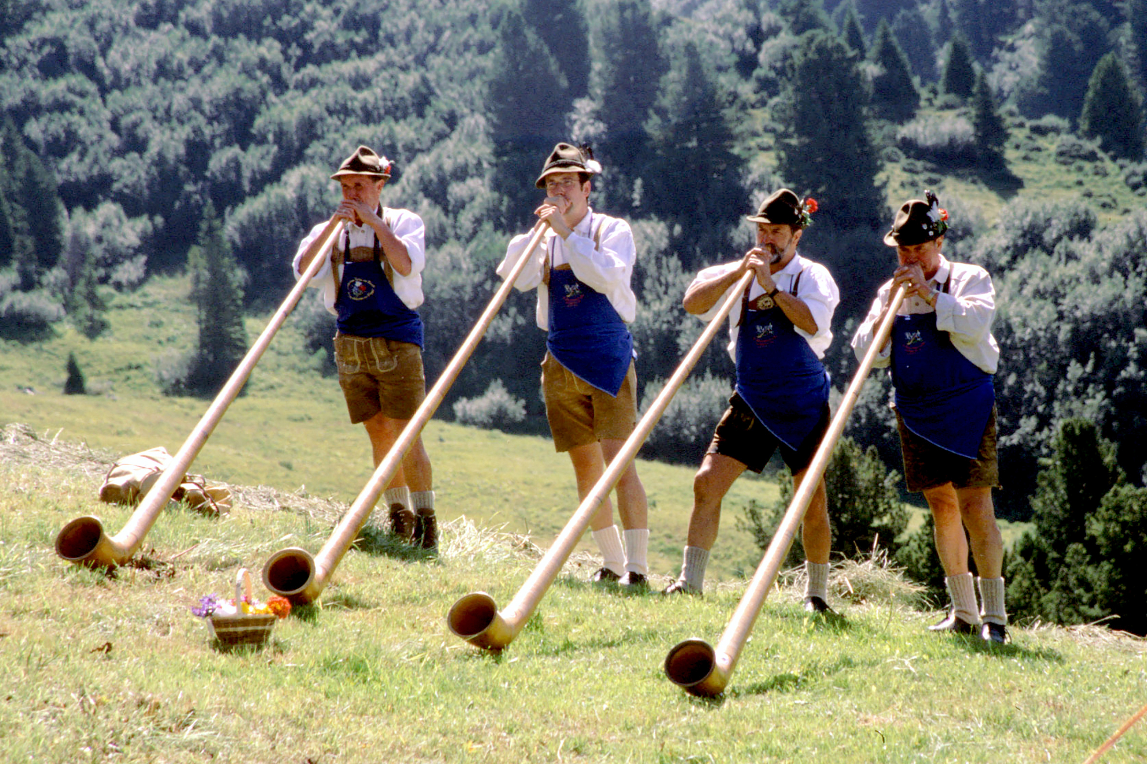festival - exhibition with horns