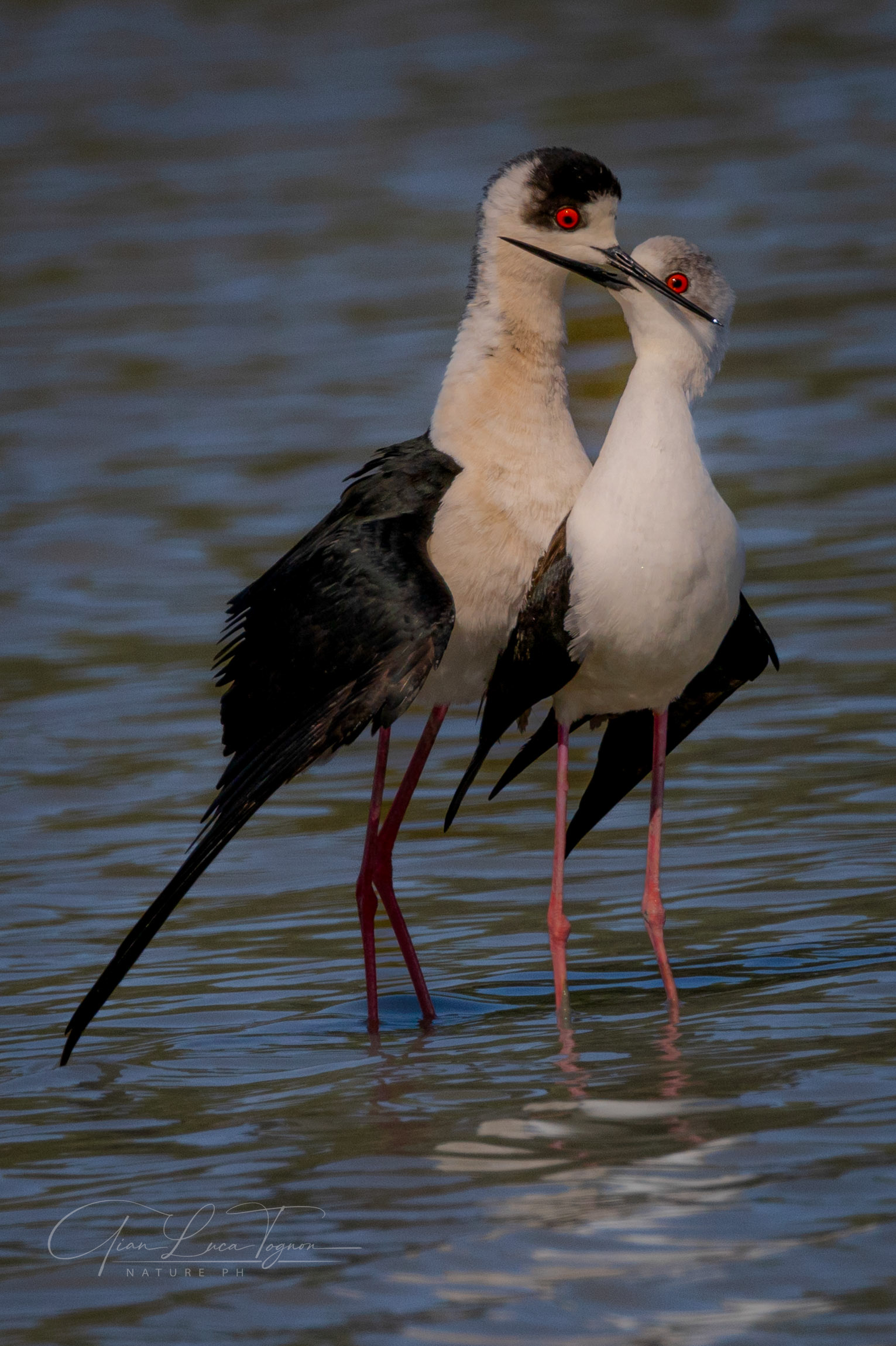 Cammino meglio se la mia mano stringe la tua