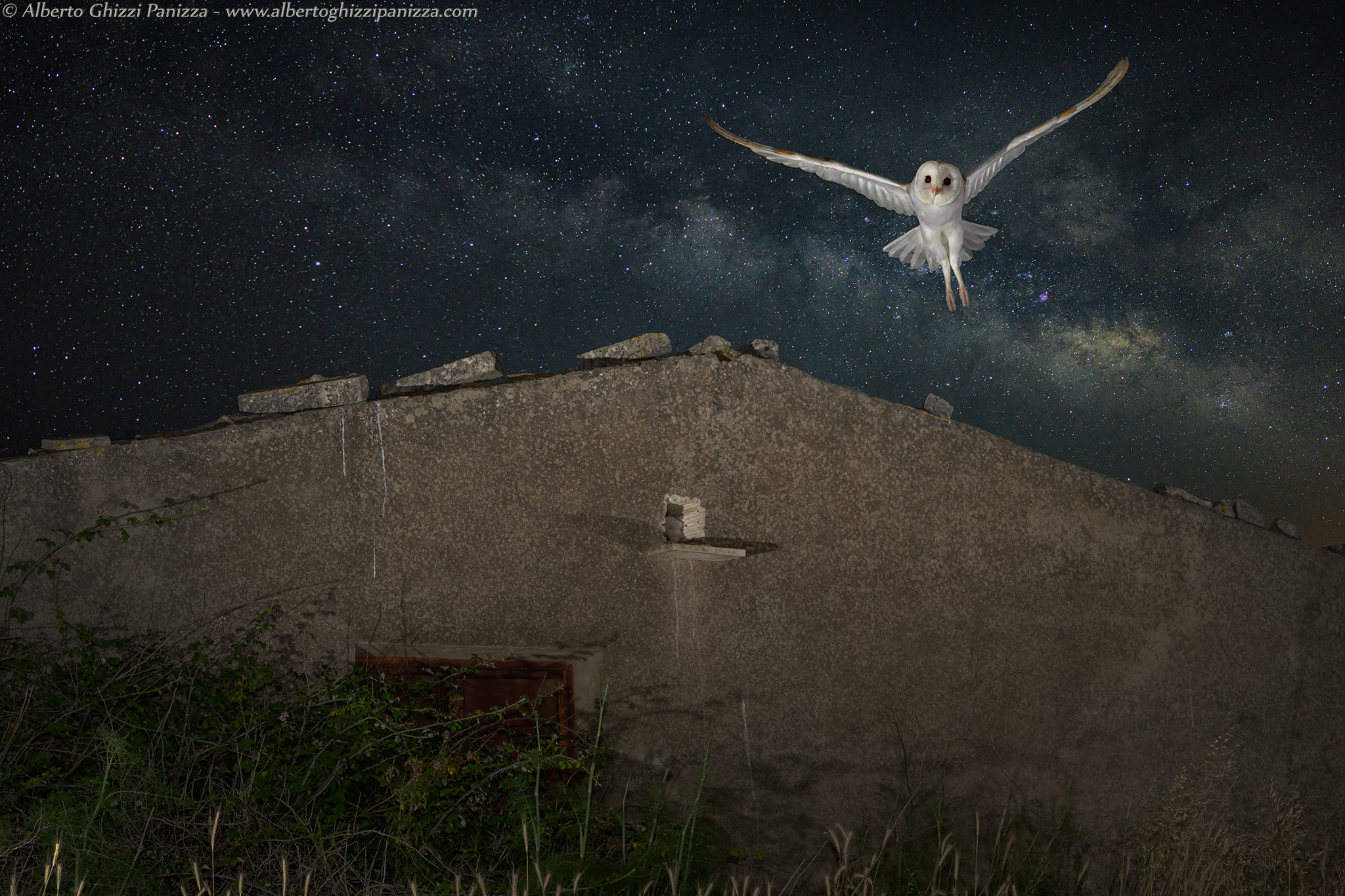 Outside the nest for night hunting