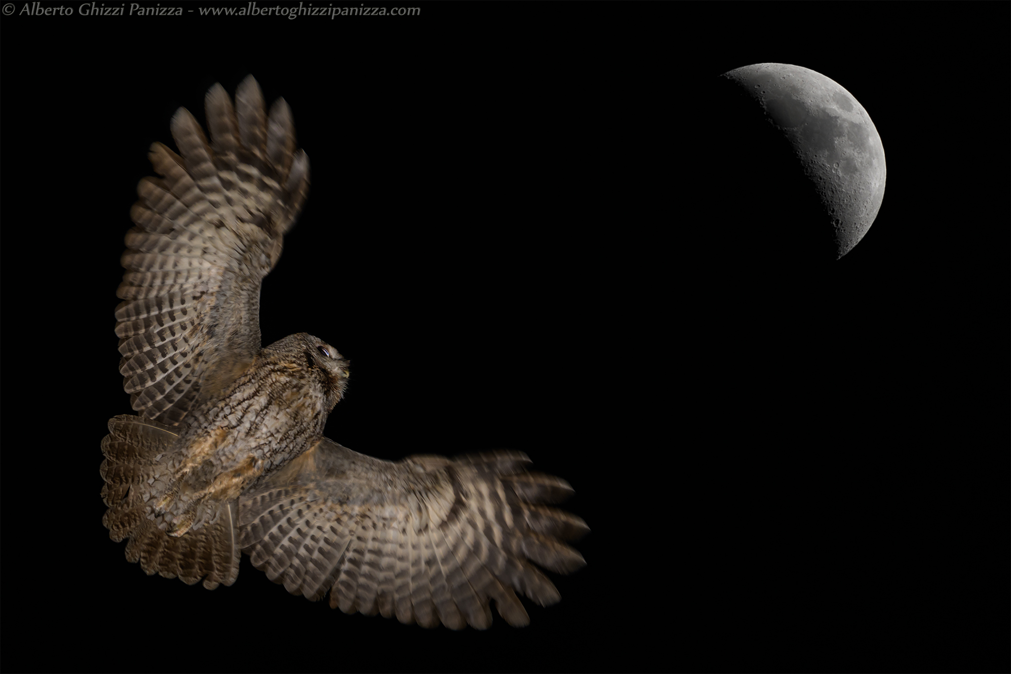 Verso la Luna