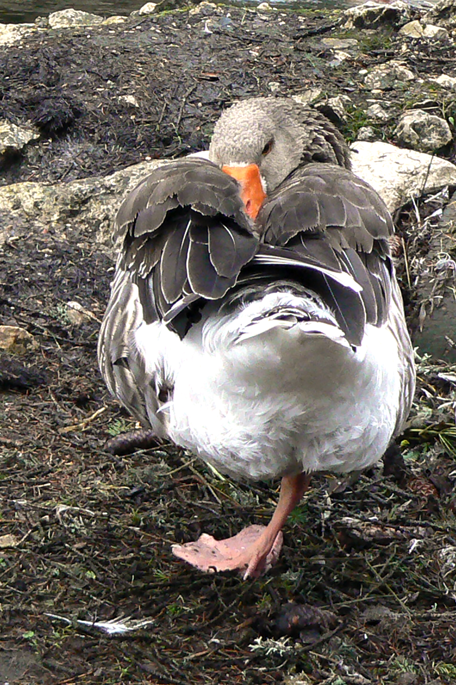 I keep an eye on you!! (crop)