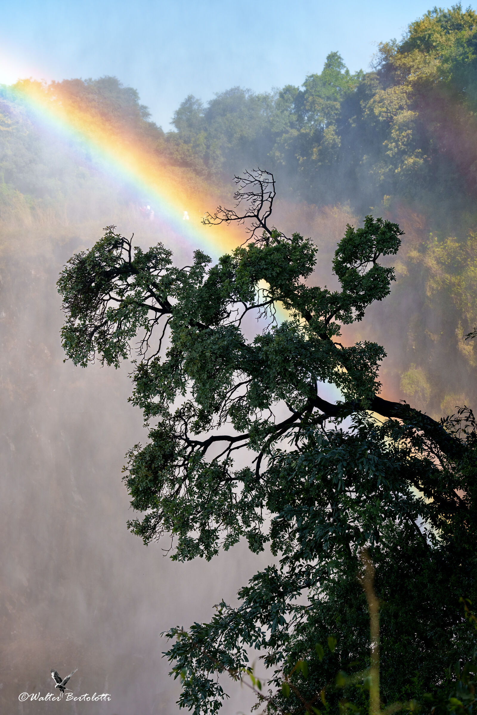 il regno dell'arcobaleno