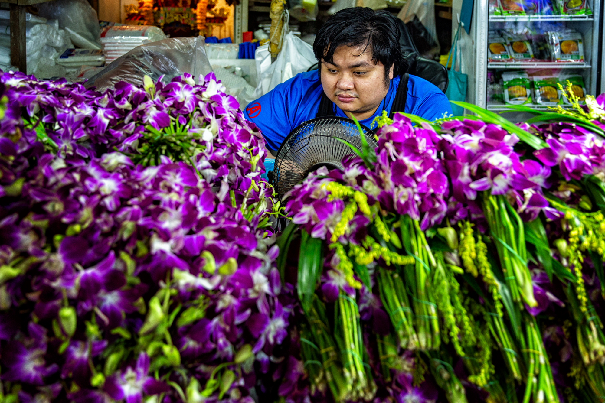Al mercato dei fiori 8