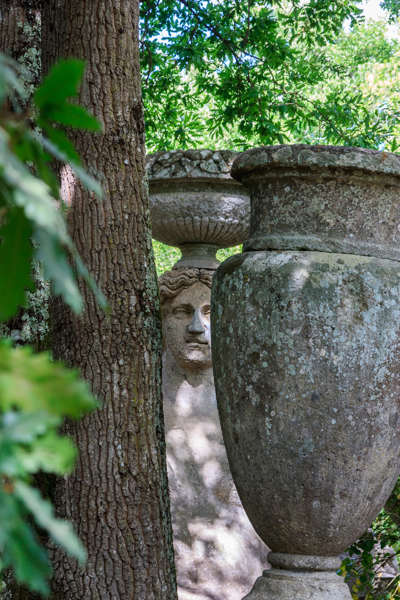 Una bellezza nascosta