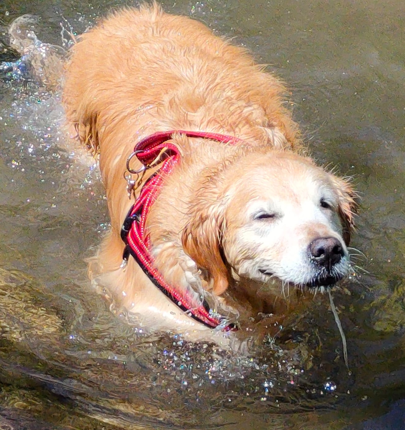The first bath of the season