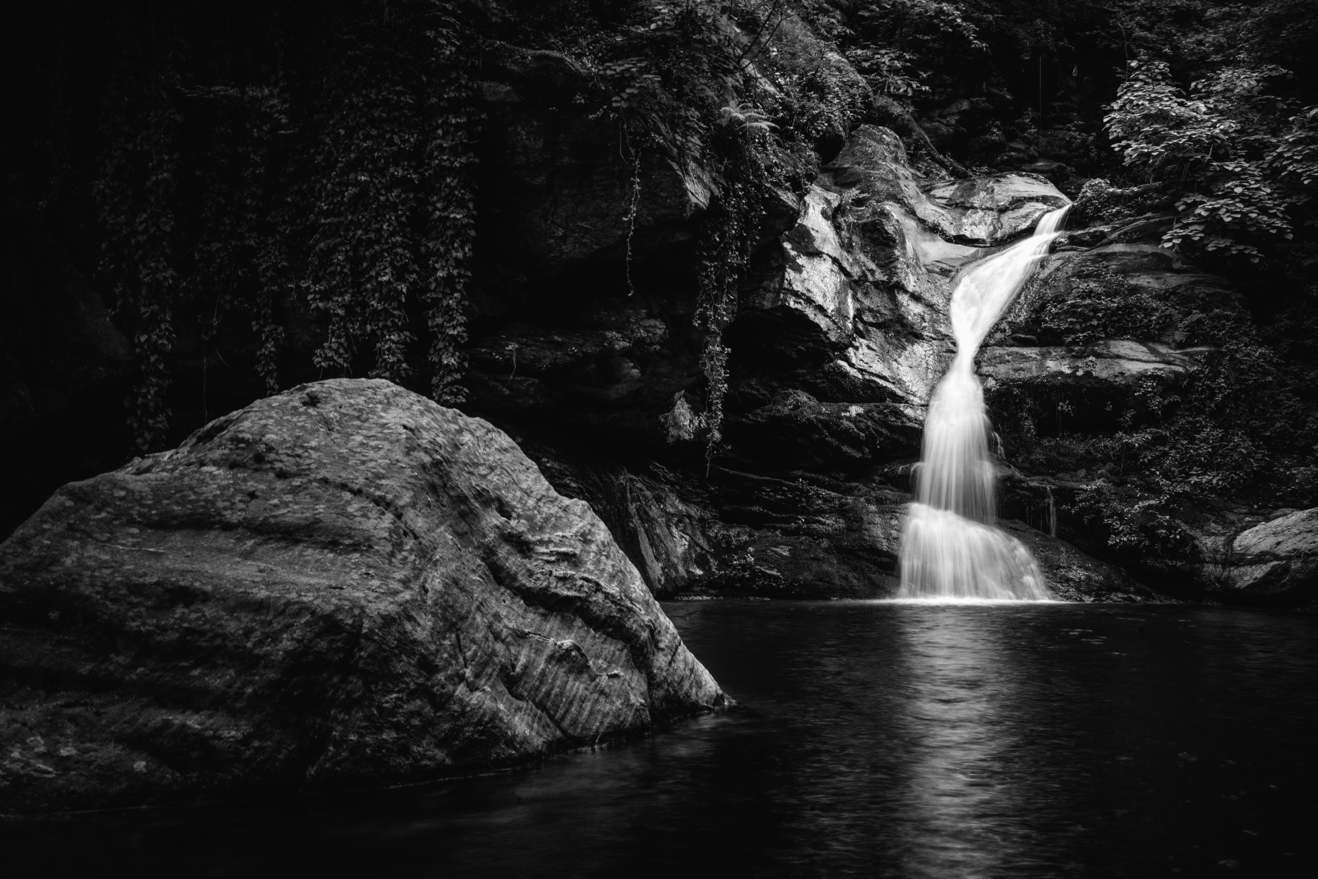 Nature in B&W