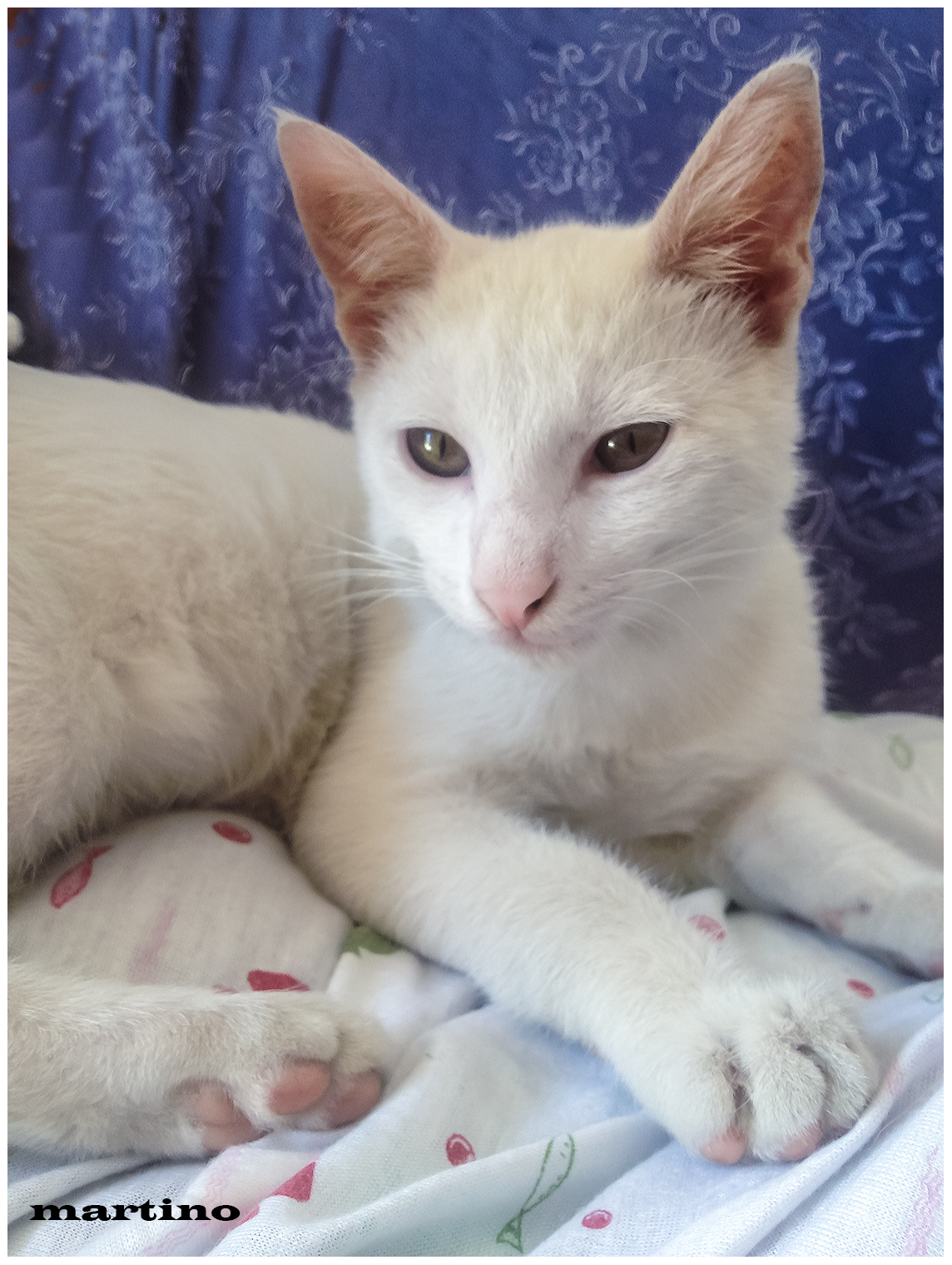 C'ero   anche io...!