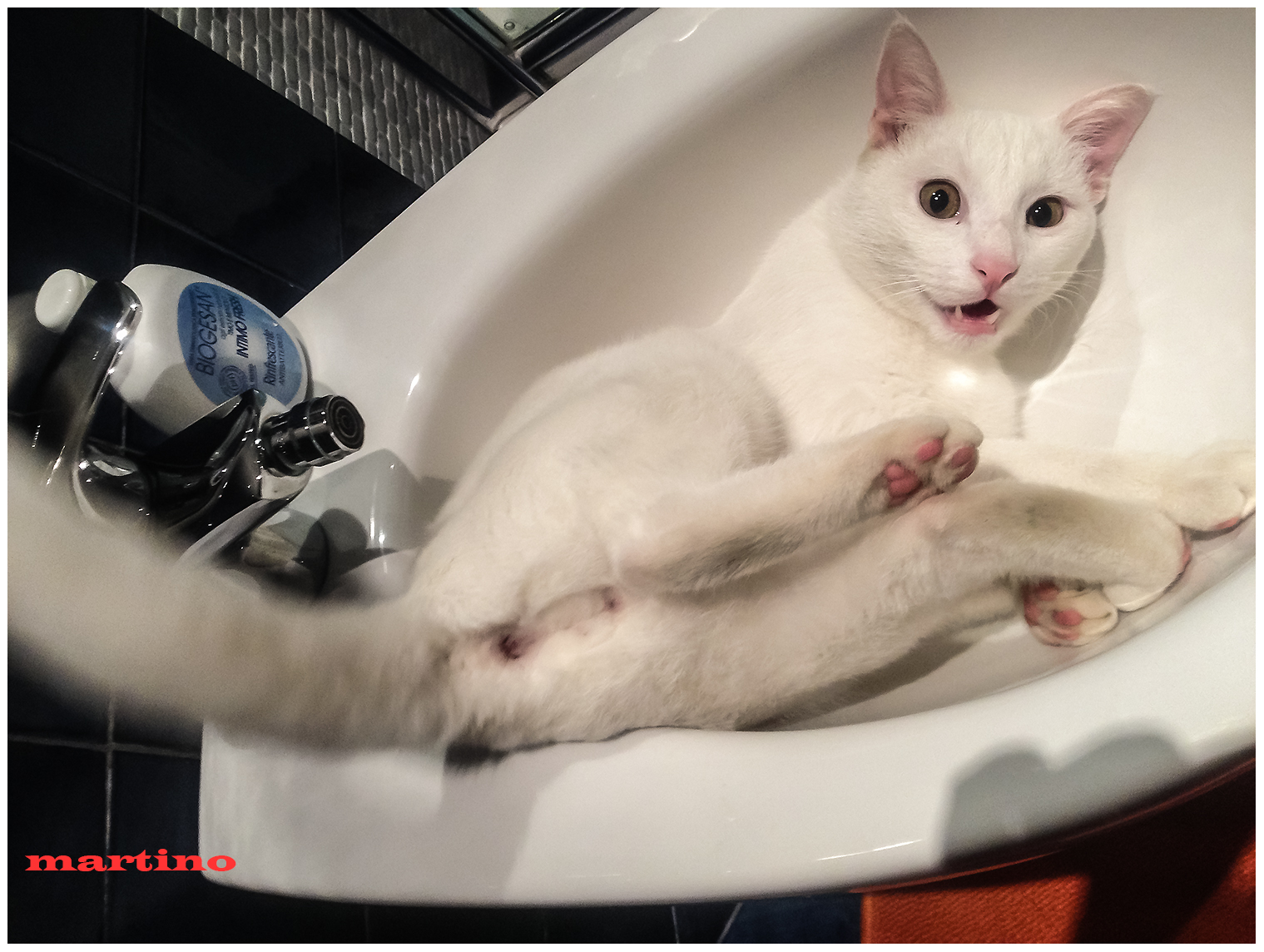 ...un minimo di privacy!!!