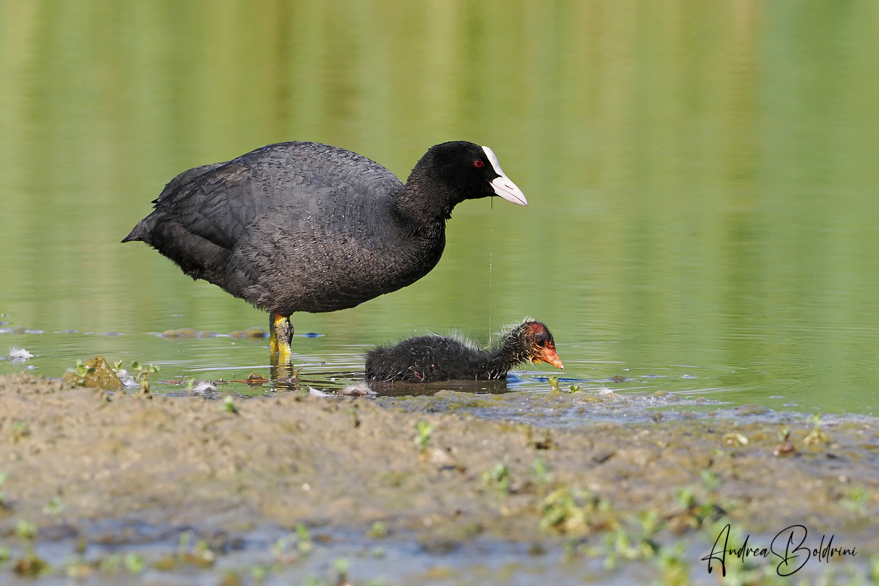 Walking with mom