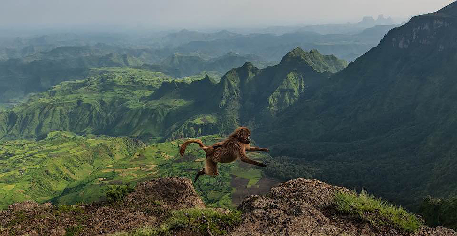 Jump !