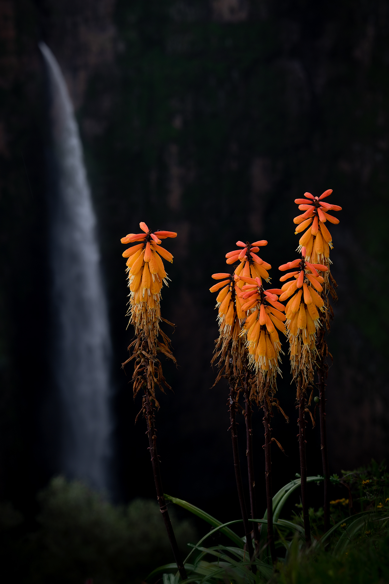 Jimbar Falls