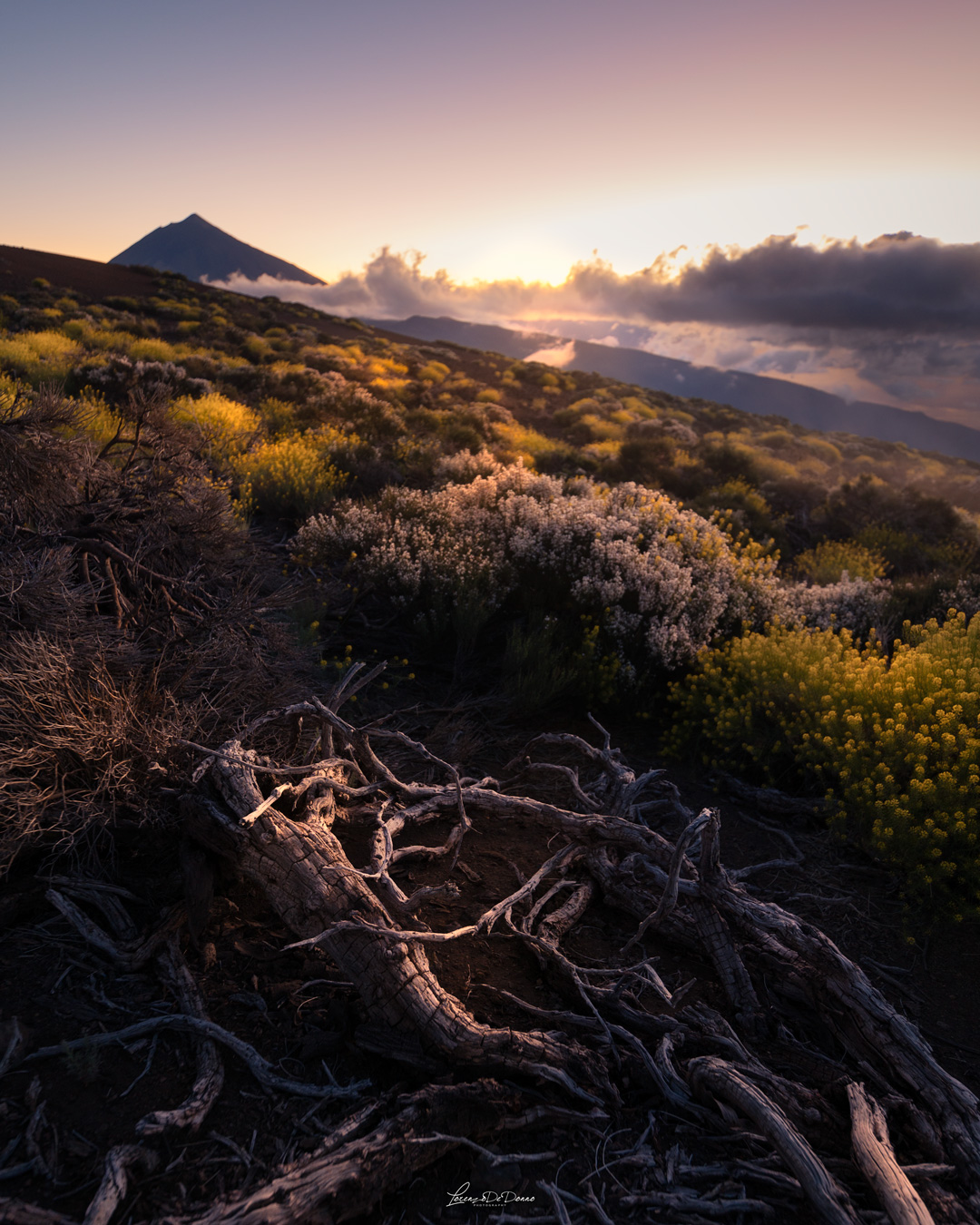 El Teide - Tenerife
