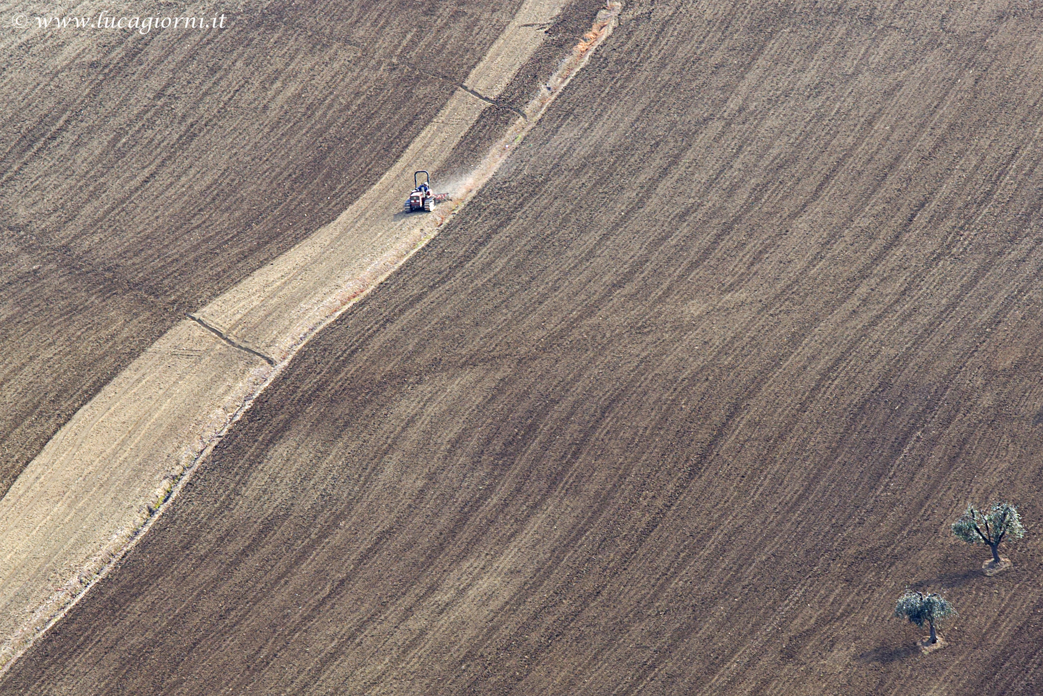 Campagna Marchigiana 3