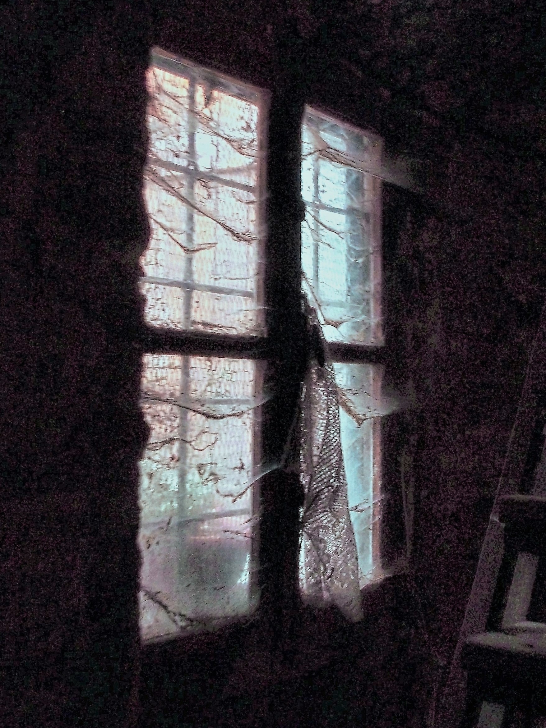 The Dead Window