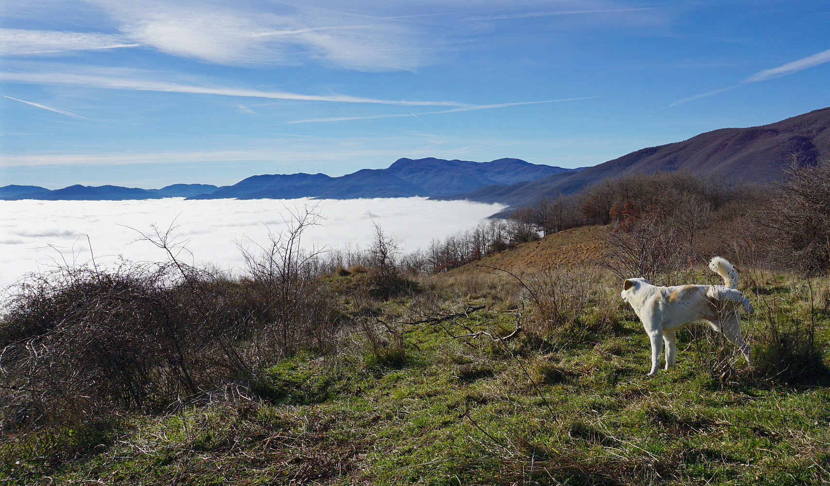 From here there is mine!!!