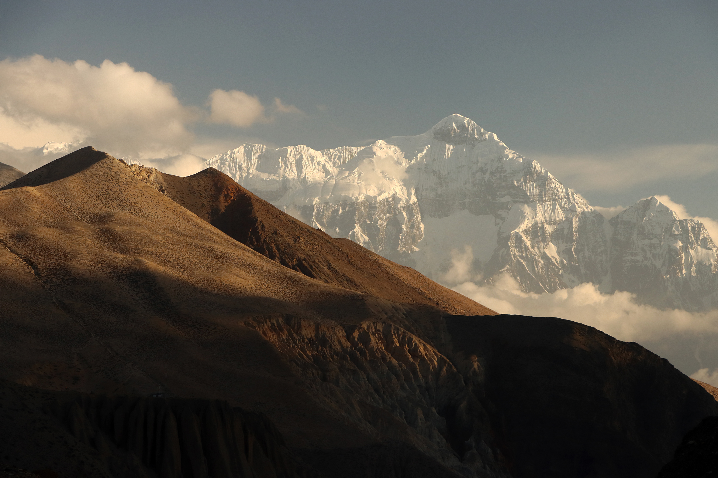 Nilgiri from Chhusang Canyon