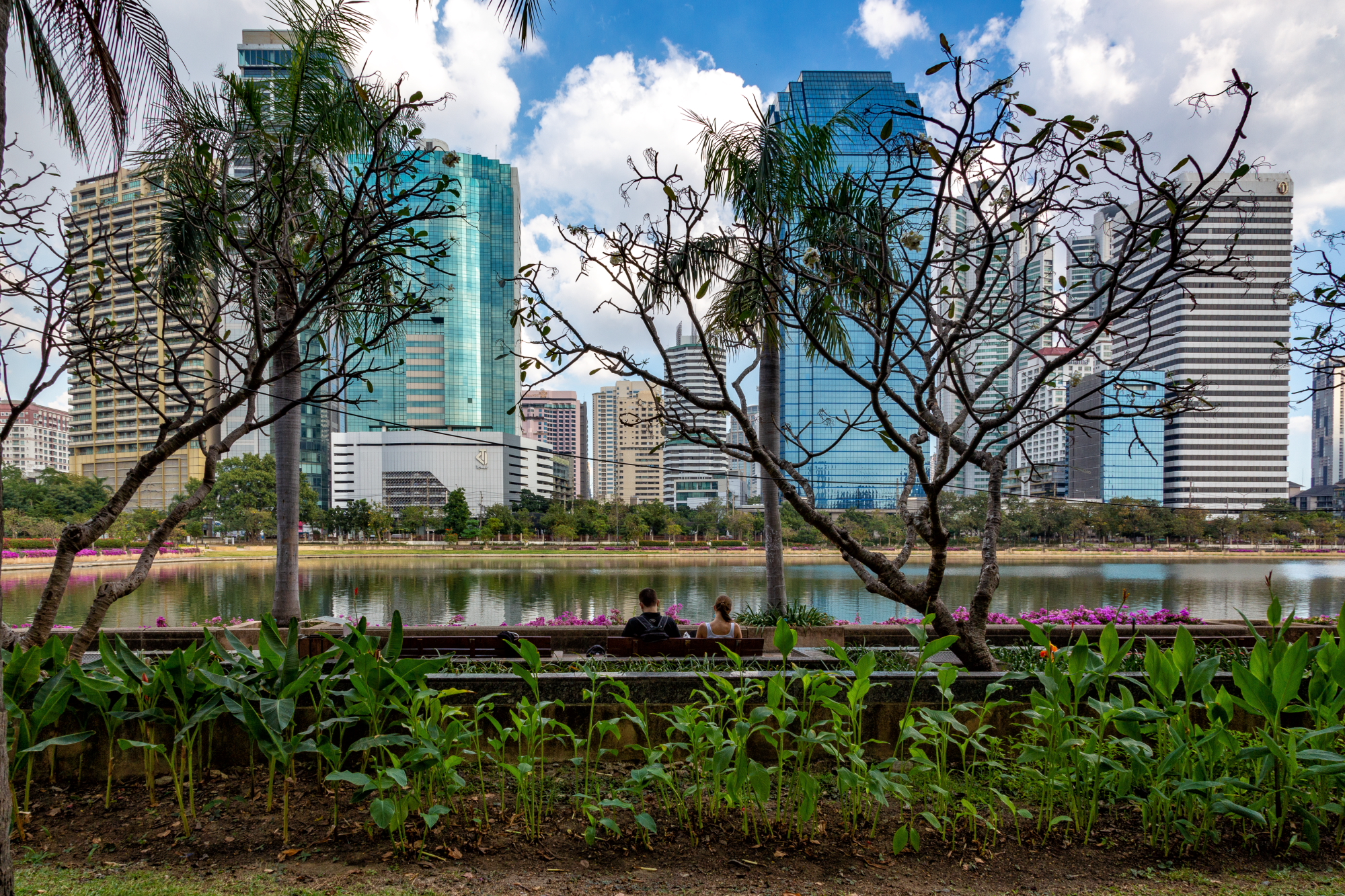 Cartolina da Bangkok 3