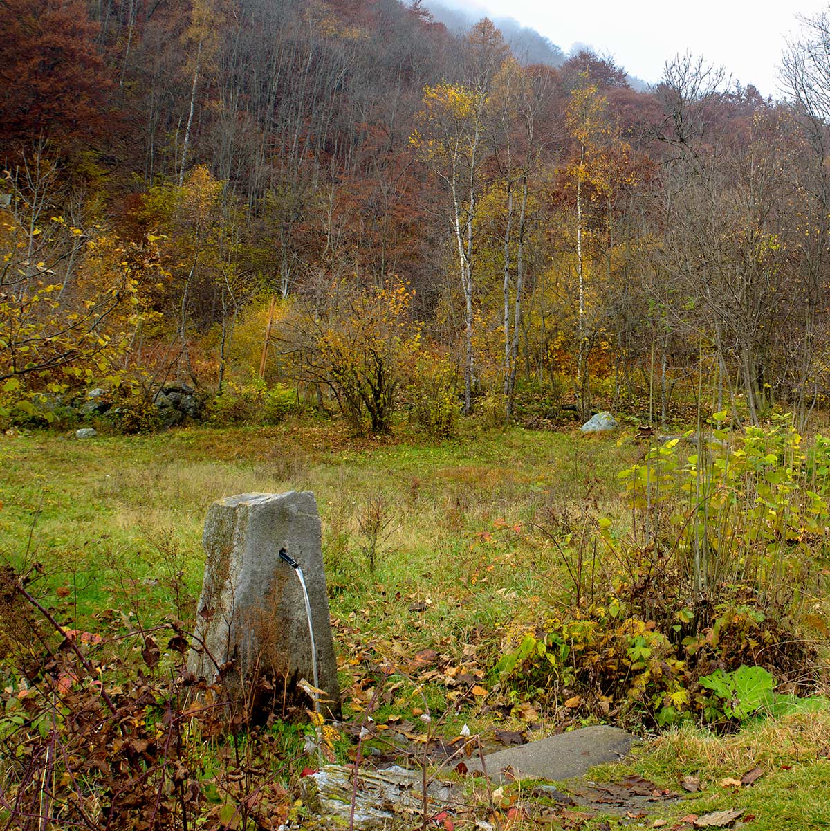 Fontanelle
