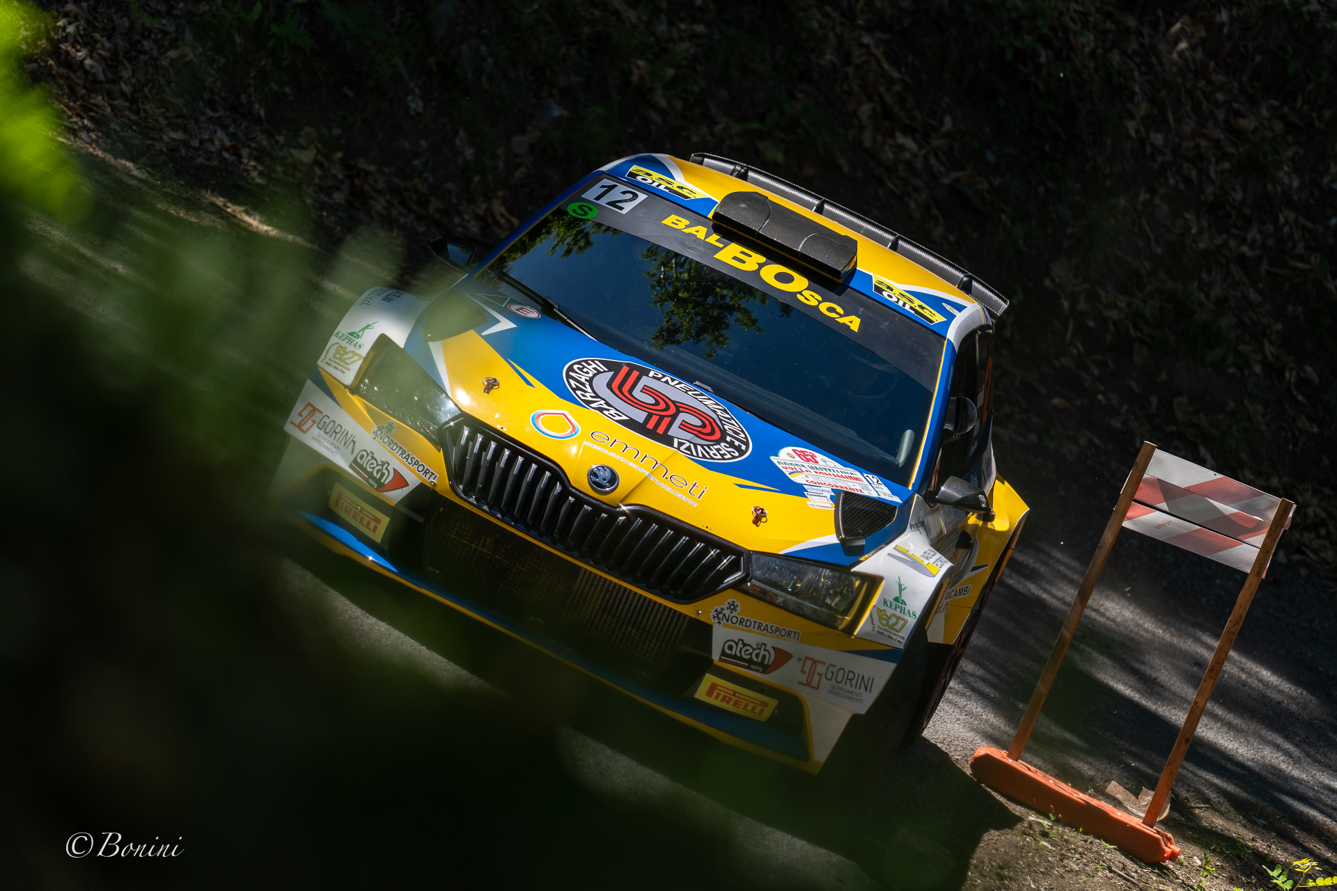 Rally coppa Valtellinaia