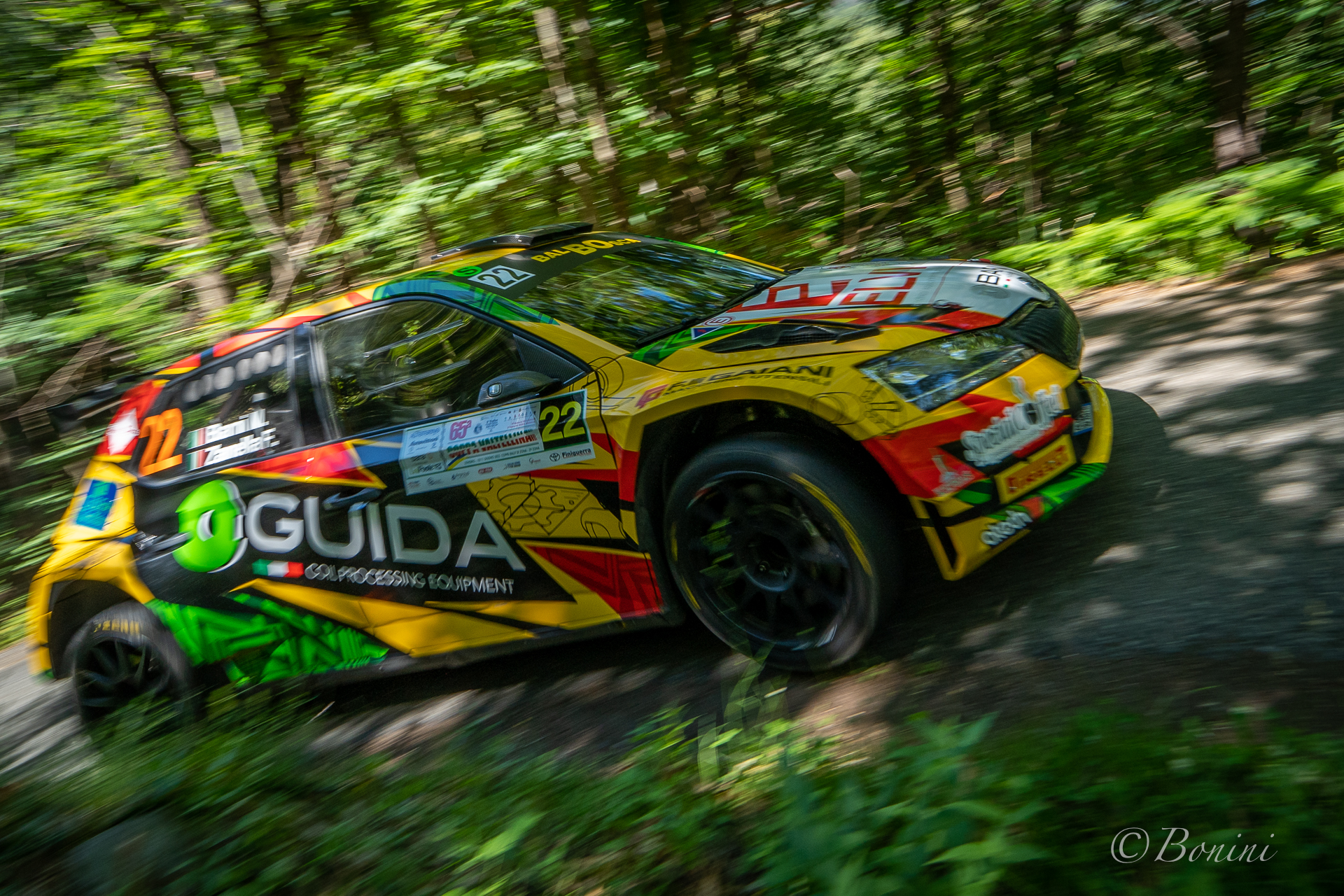 Rally coppa Valtellinaia