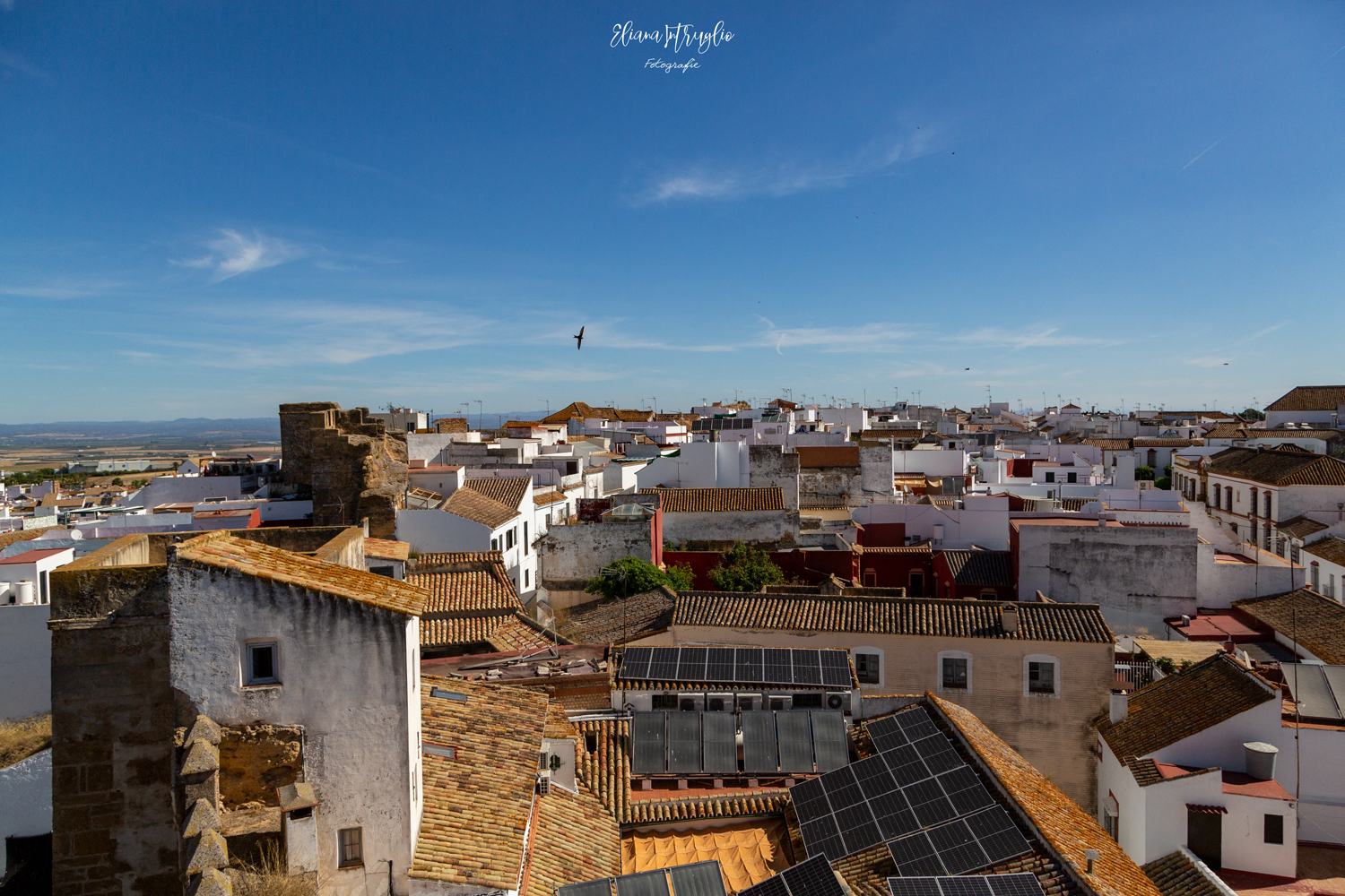 Carmona from its rooftops