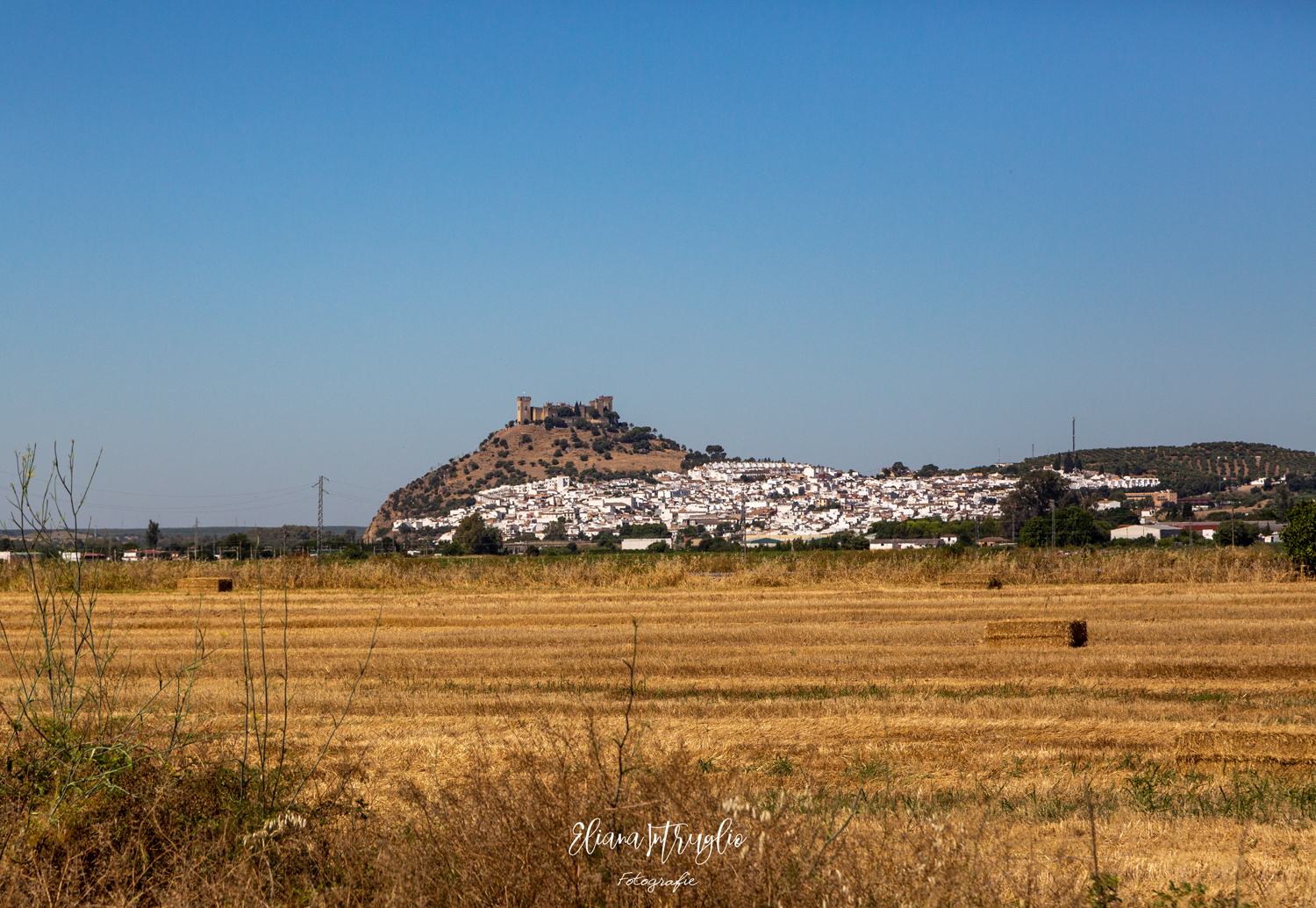 Almodovar del Rio and its golden fields