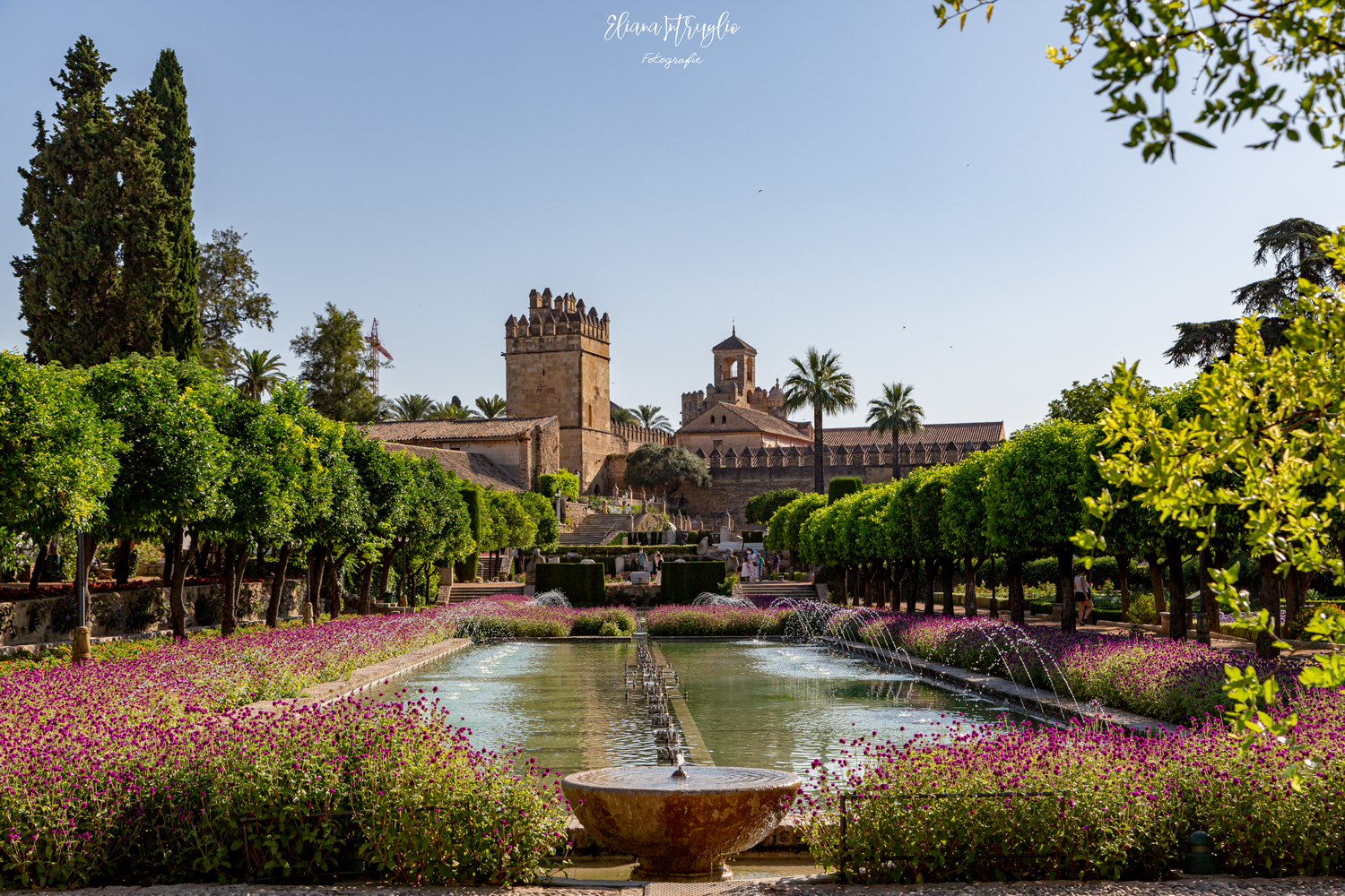 The Alcazar in the morning