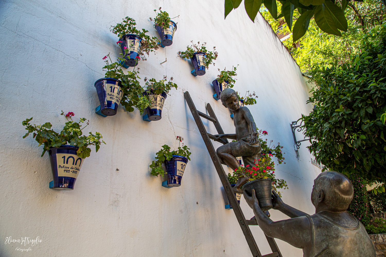 From generation to generation, a life for flowers.