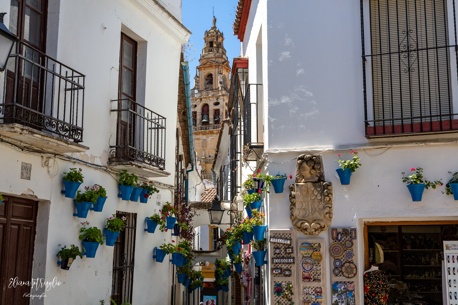 Narrow alley with a view