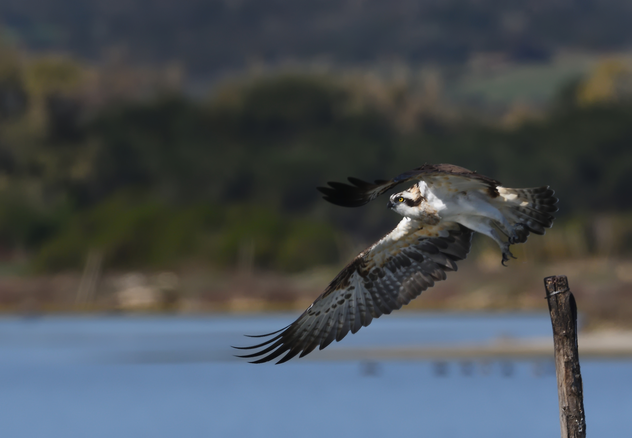 Take-off