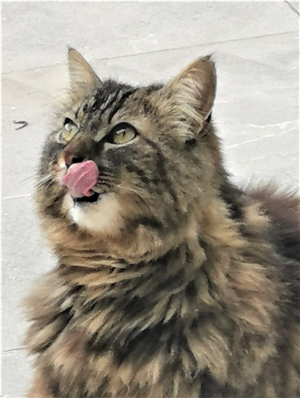 Lilli when she dreams of her favorite worms