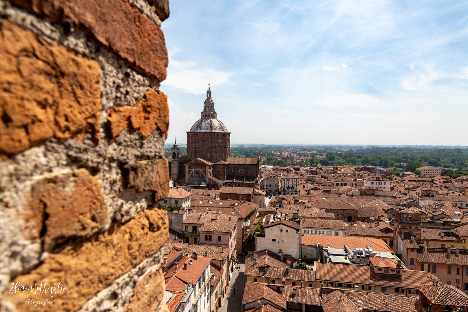 The Cathedral of Pavia from the highest tower