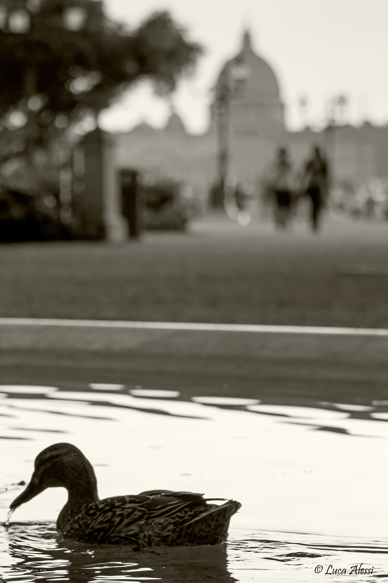 From his point of view