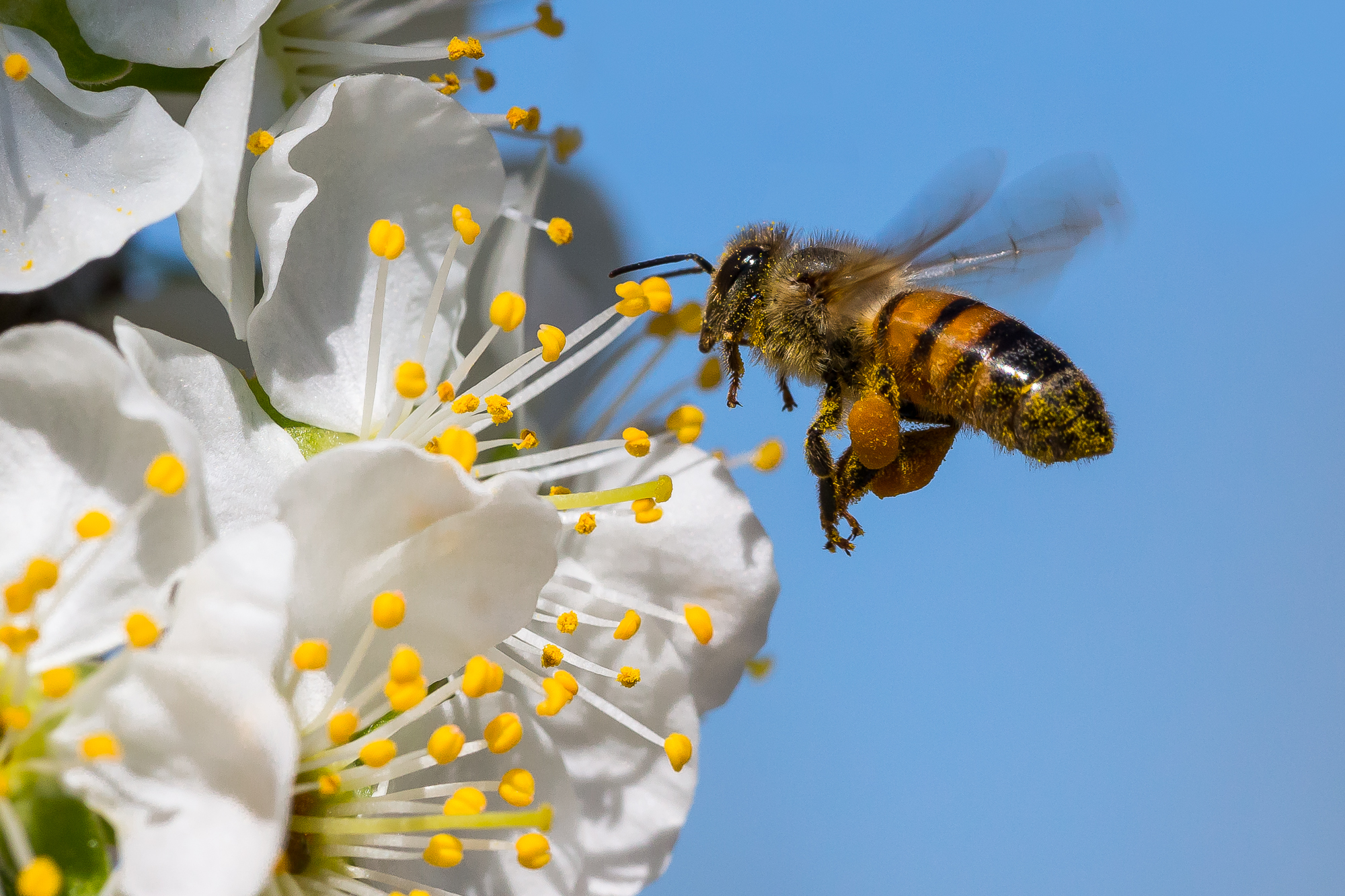 Aria di Primavera...
