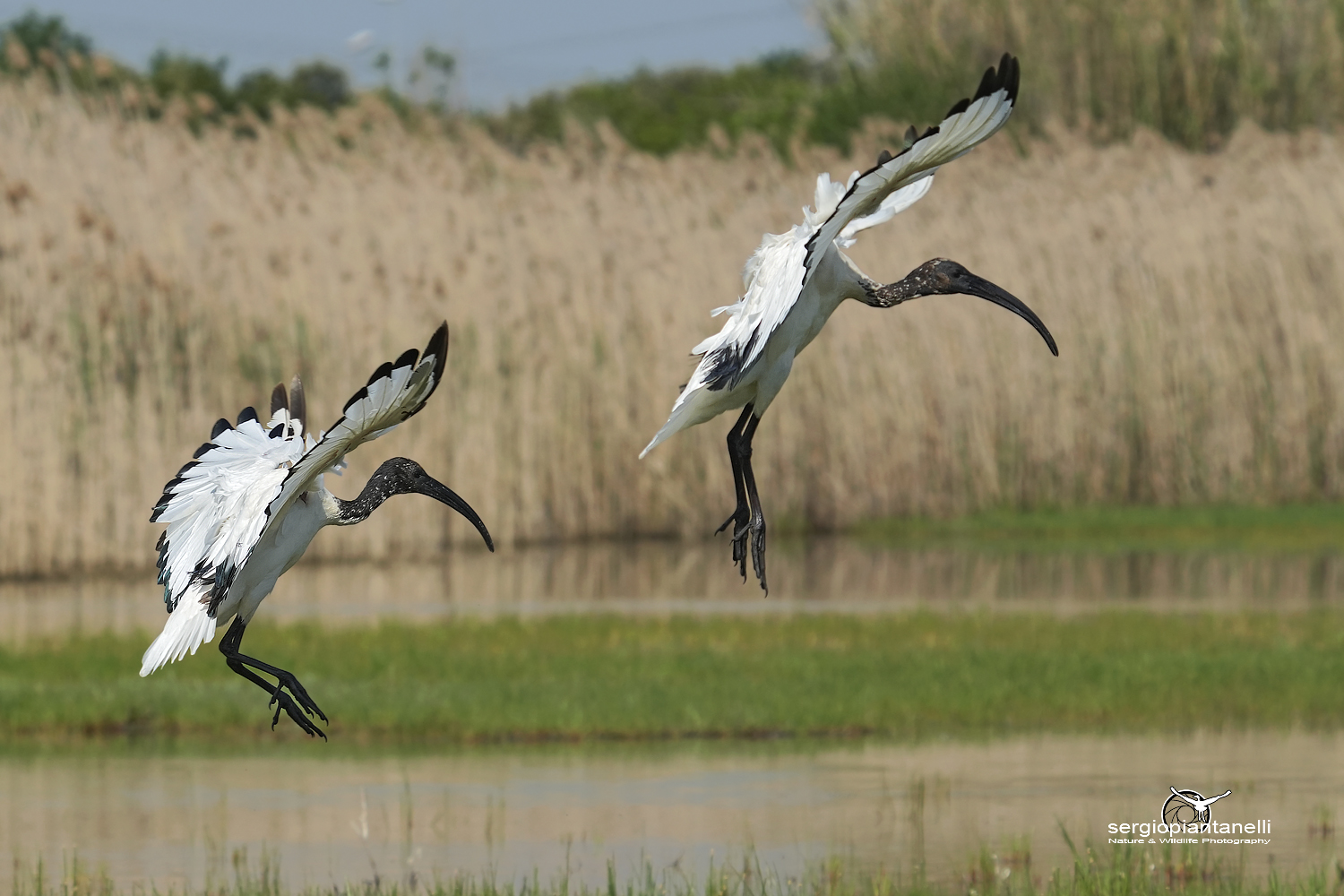Atterraggio in coppia