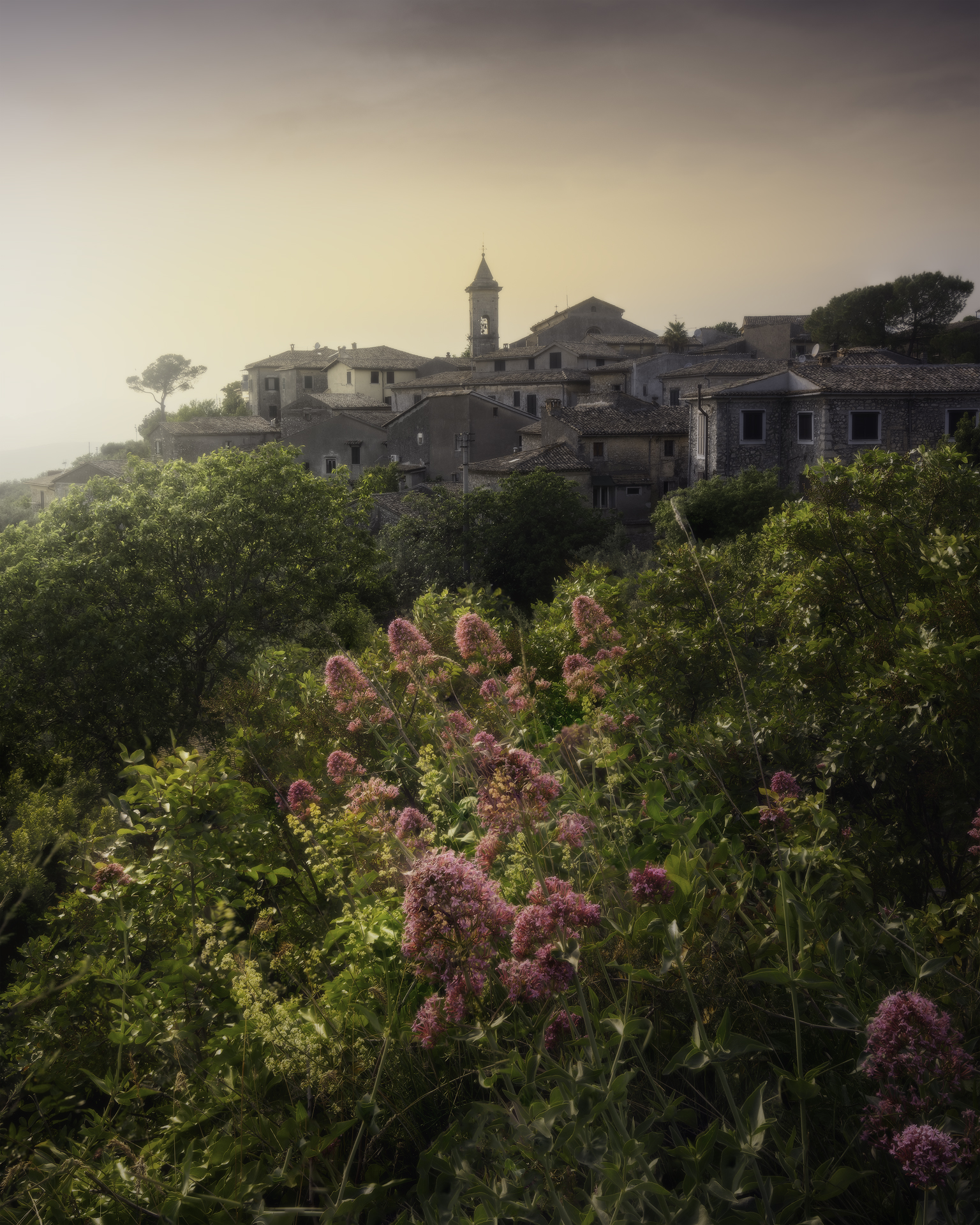 Arpino (Italy)