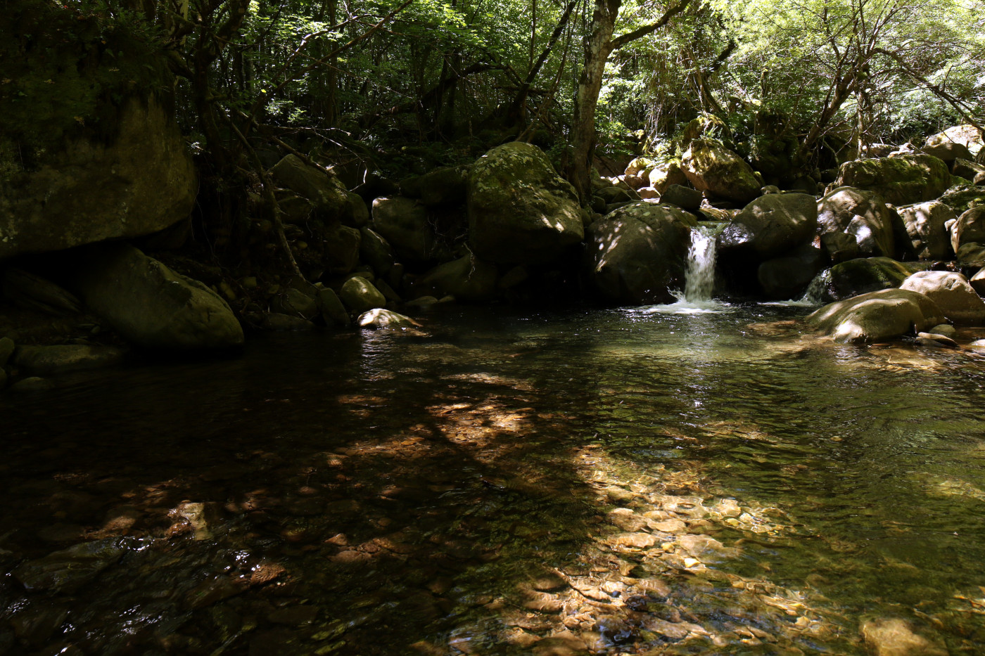 Il torrente Ospitale