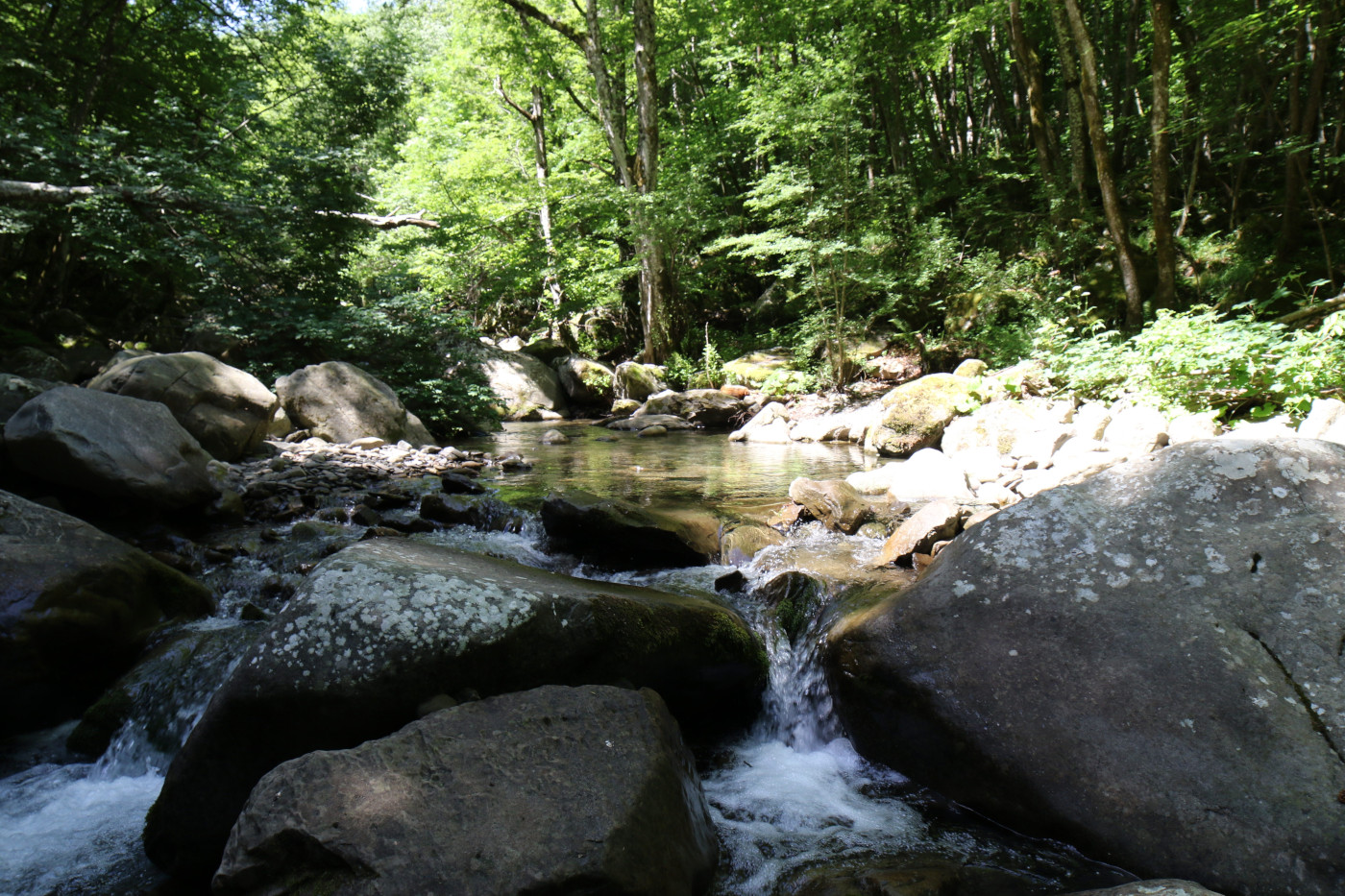 Il torrente Ospitale