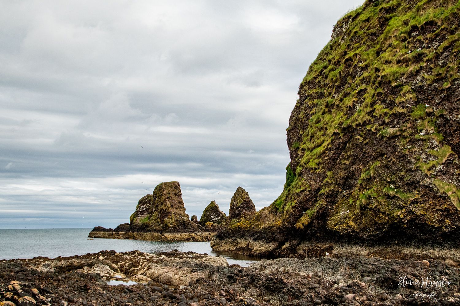 The cliffs of Dunnottar