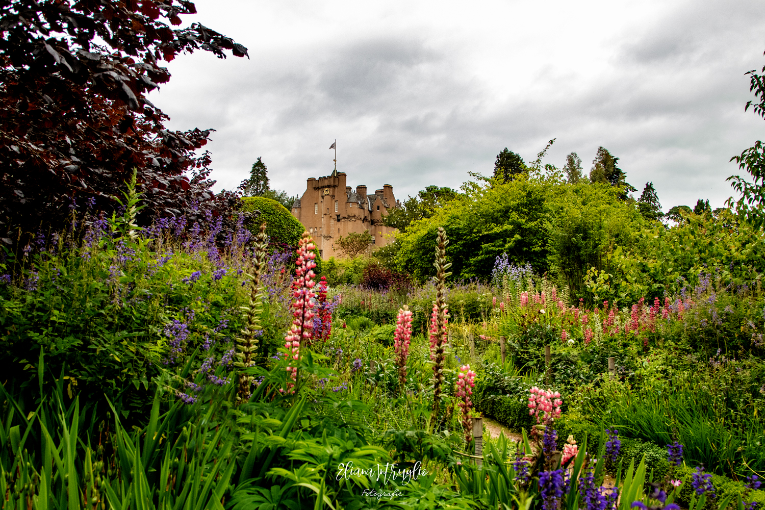 Crathes and its garden